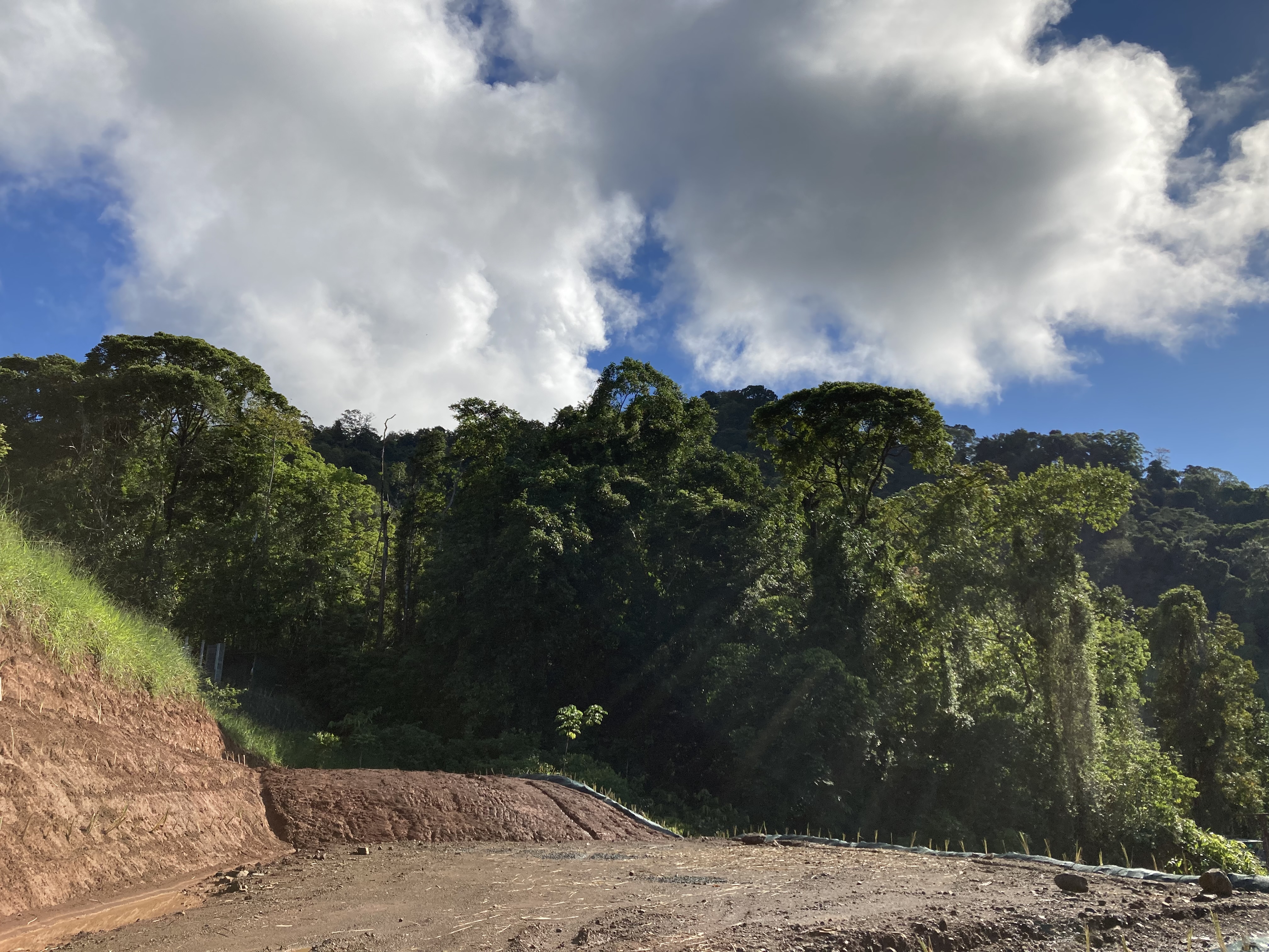 0 bed Land For Sale in Dominical, Puntarenas - thumb 11