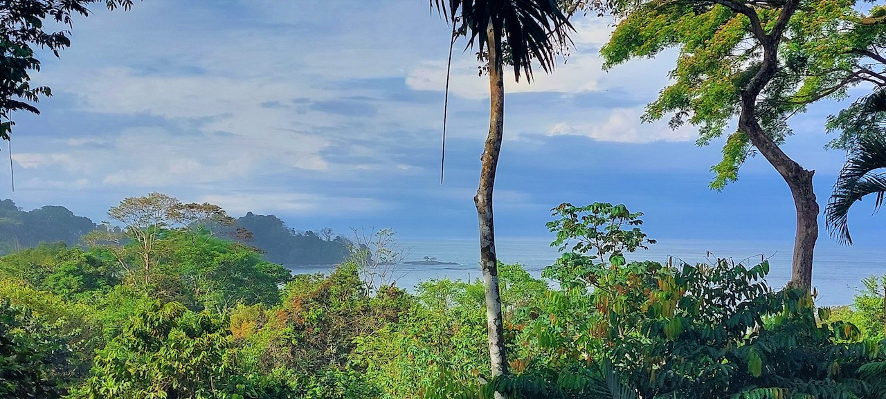 2 bed Single Family Homes For Sale in Dominical, Puntarenas - thumb 17