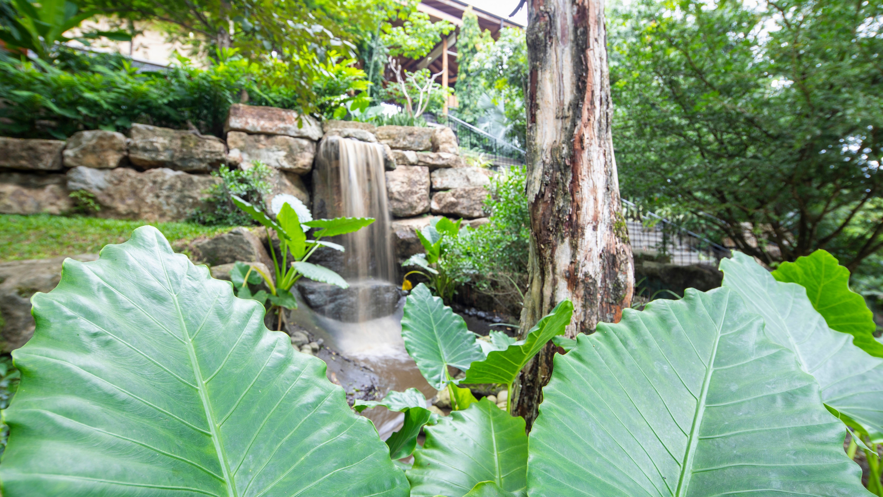 3 bed Single Family Homes For Sale in Nosara, Guanacaste - thumb 19