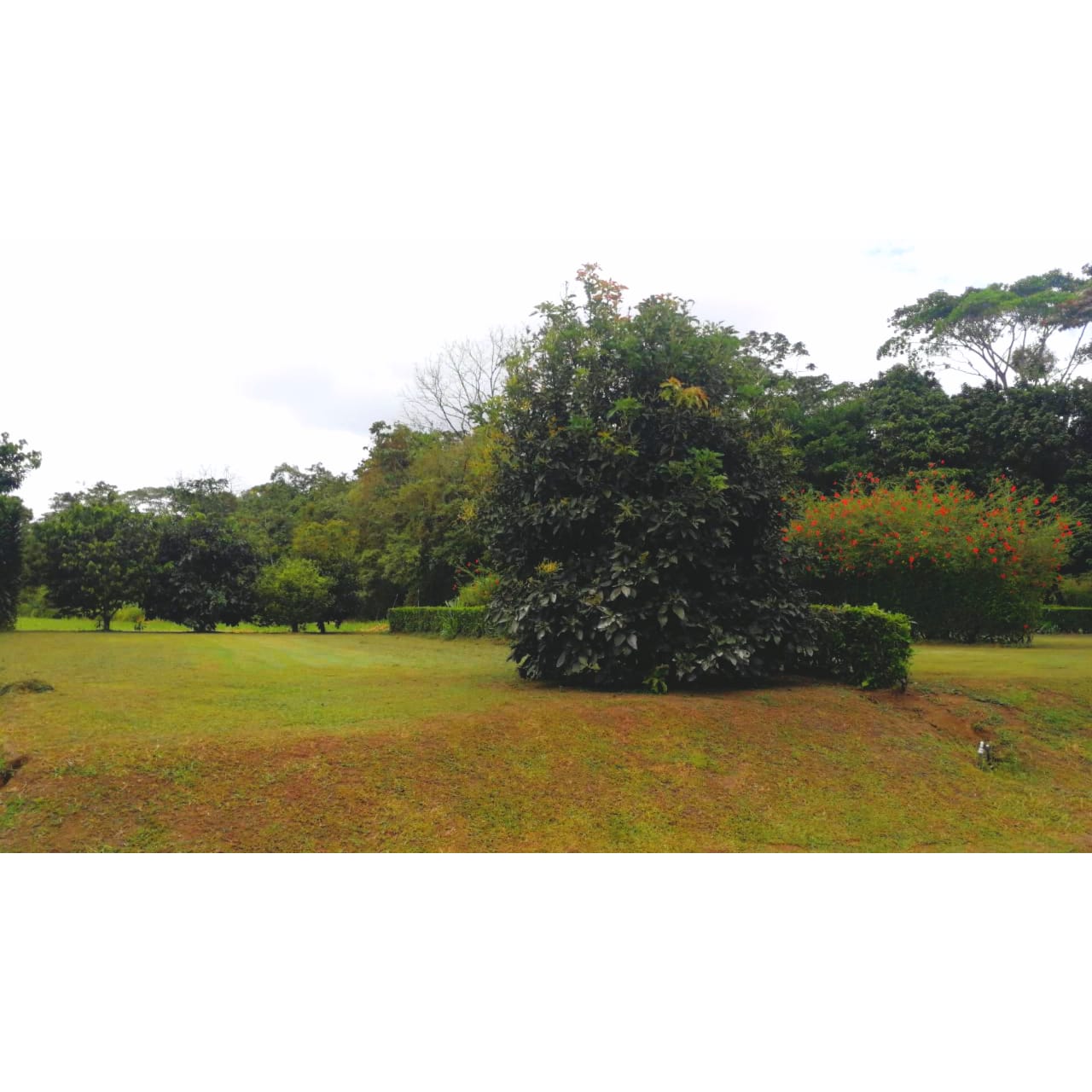0 bed Land For Sale in La Fortuna, Alajuela - thumb 5