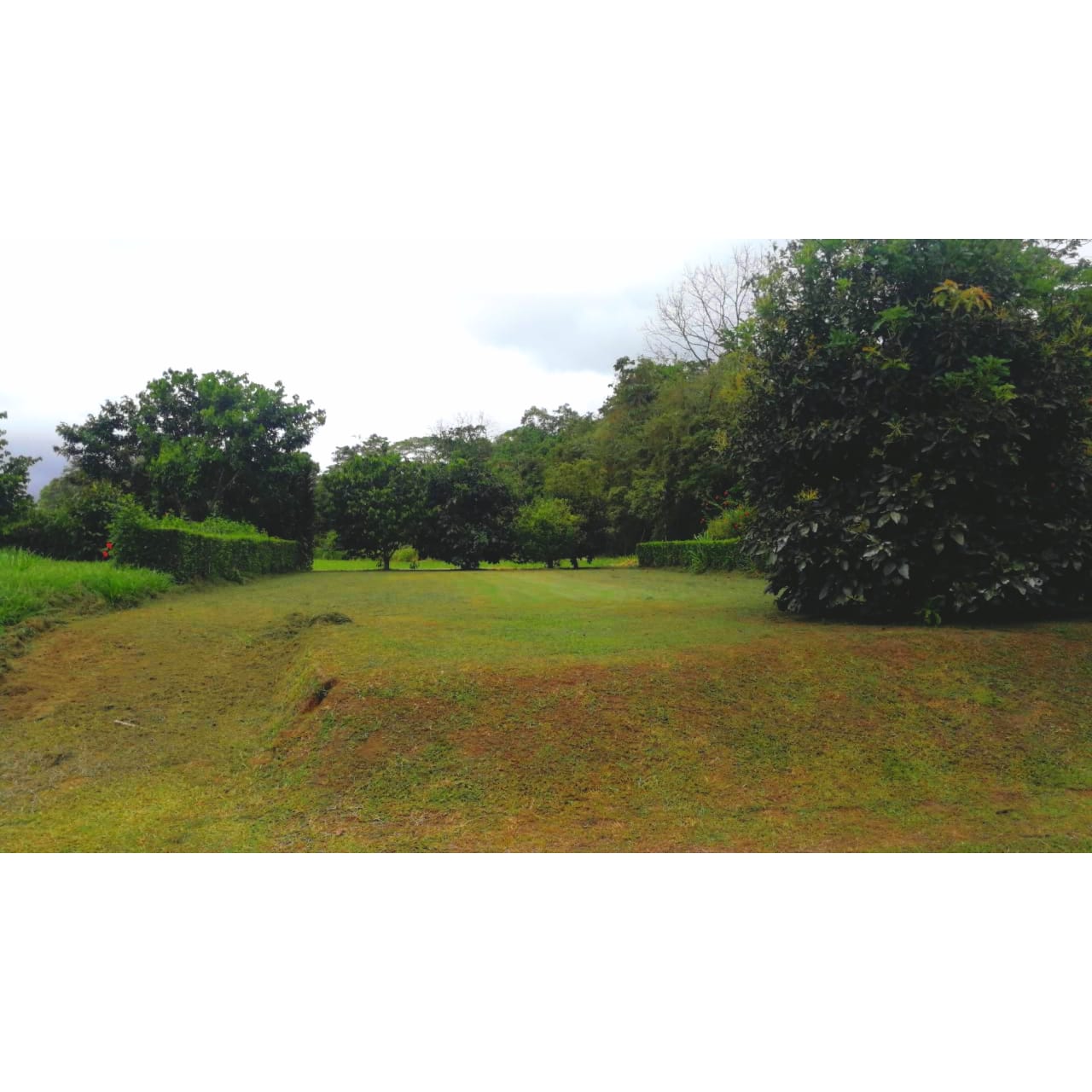 0 bed Land For Sale in La Fortuna, Alajuela - thumb 3
