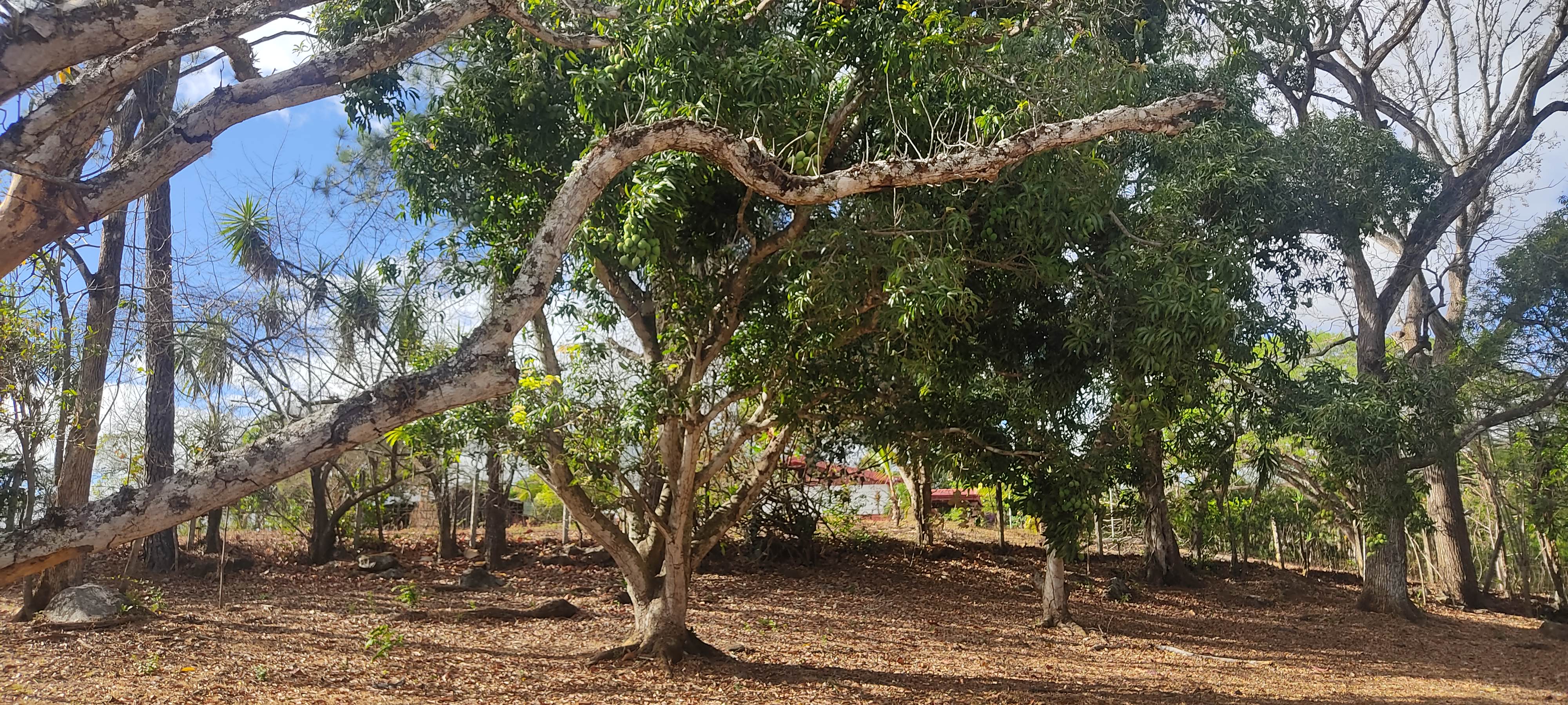 0 bed Land For Sale in La Garita, Alajuela - thumb 4