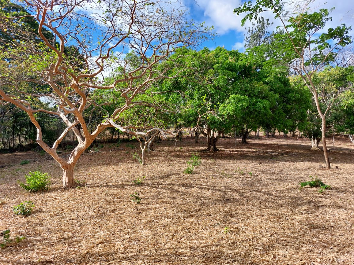 0 bed Land For Sale in La Garita, Alajuela - thumb 5