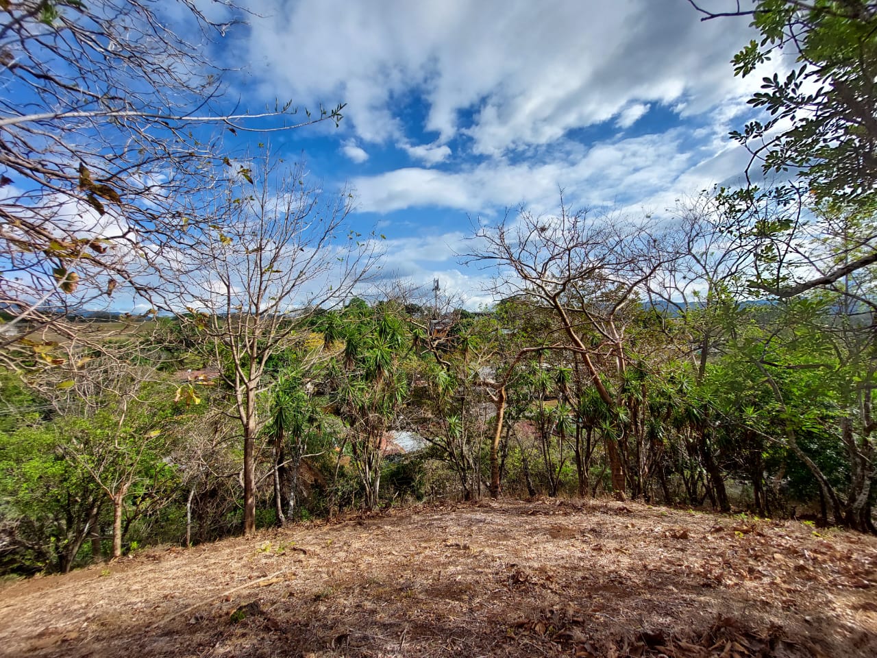 0 bed Land For Sale in La Garita, Alajuela - thumb 2