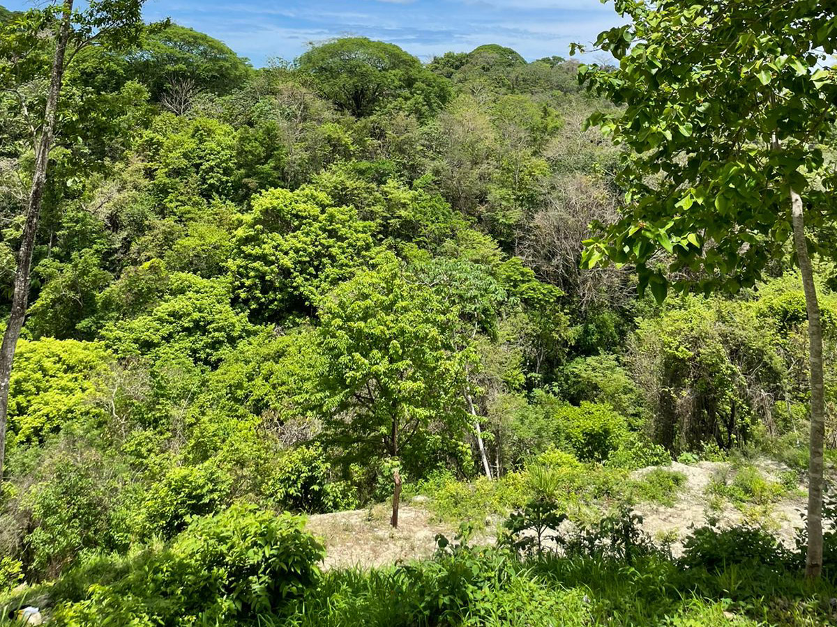 0 bed Land For Sale in Playa Hermosa Santa Teresa, Puntarenas - thumb 3