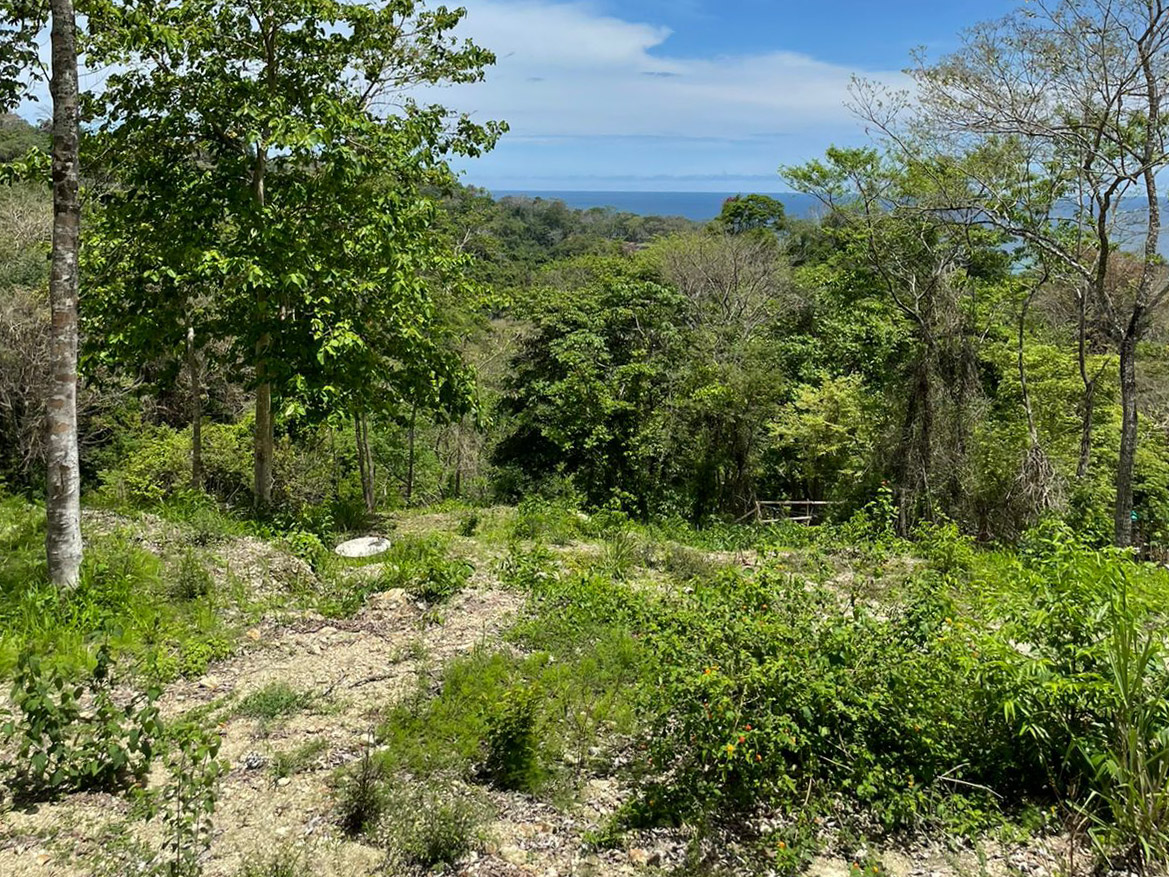 0 bed Land For Sale in Playa Hermosa Santa Teresa, Puntarenas - thumb 7