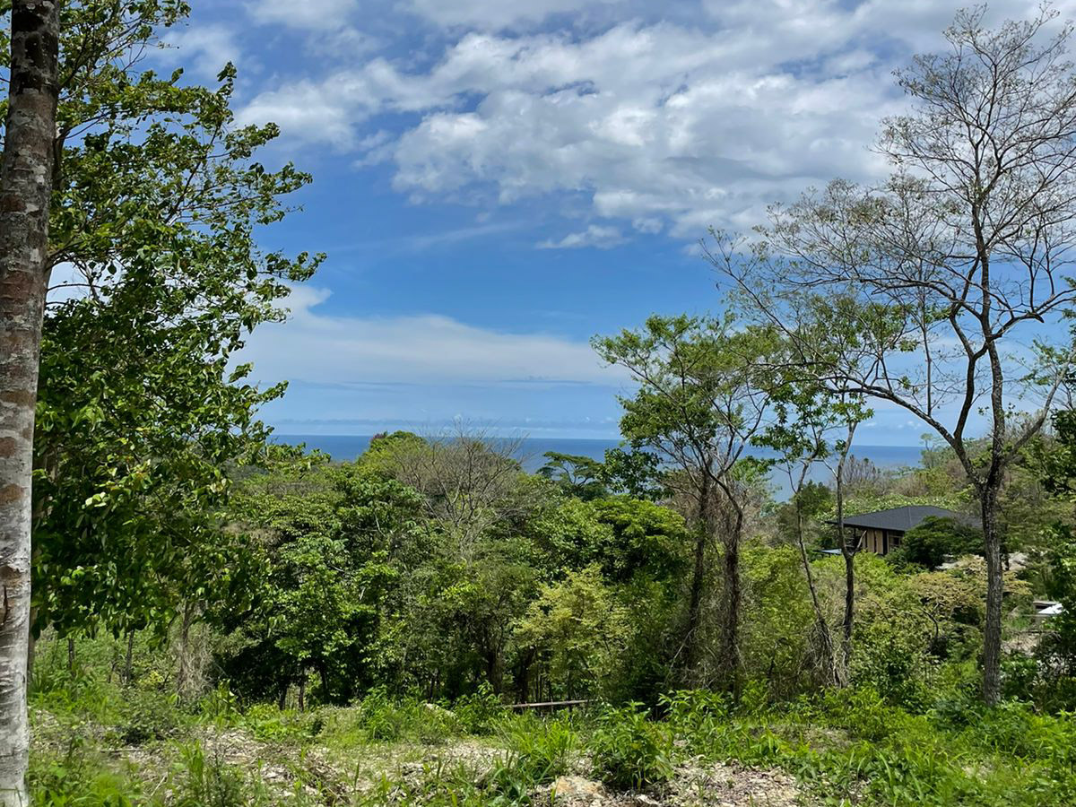0 bed Land For Sale in Playa Hermosa Santa Teresa, Puntarenas - thumb 5