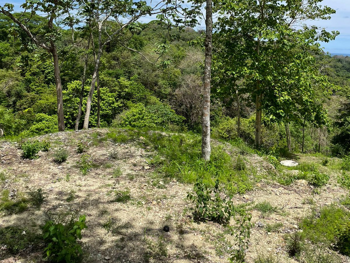 0 bed Land For Sale in Playa Hermosa Santa Teresa, Puntarenas - thumb 4