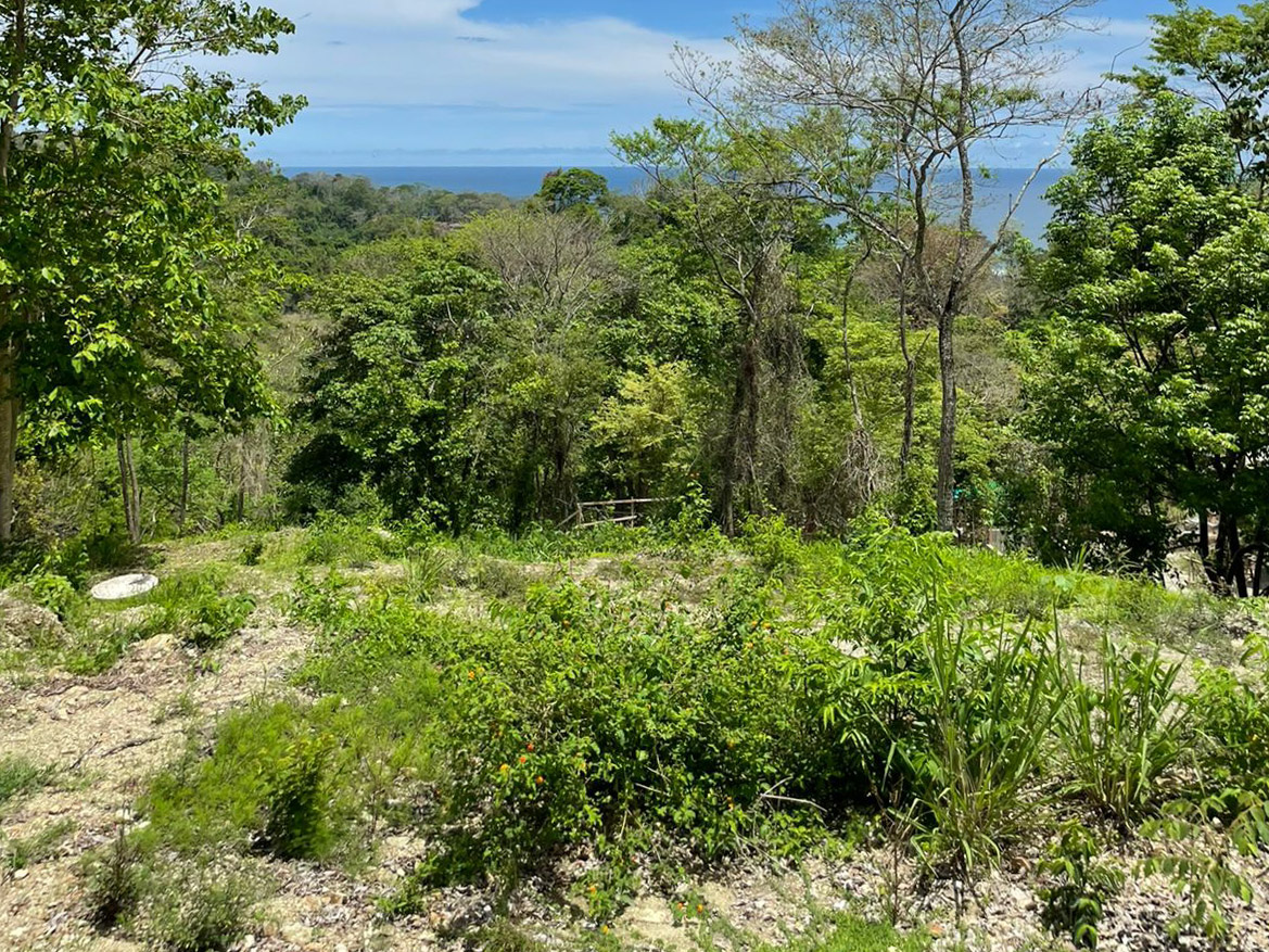 0 bed Land For Sale in Playa Hermosa Santa Teresa, Puntarenas - thumb 6