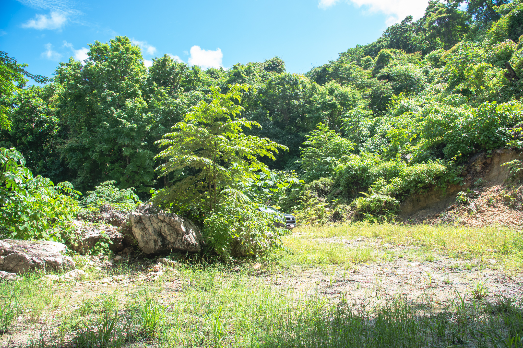 0 bed Land For Sale in Santa Teresa, Puntarenas - thumb 17