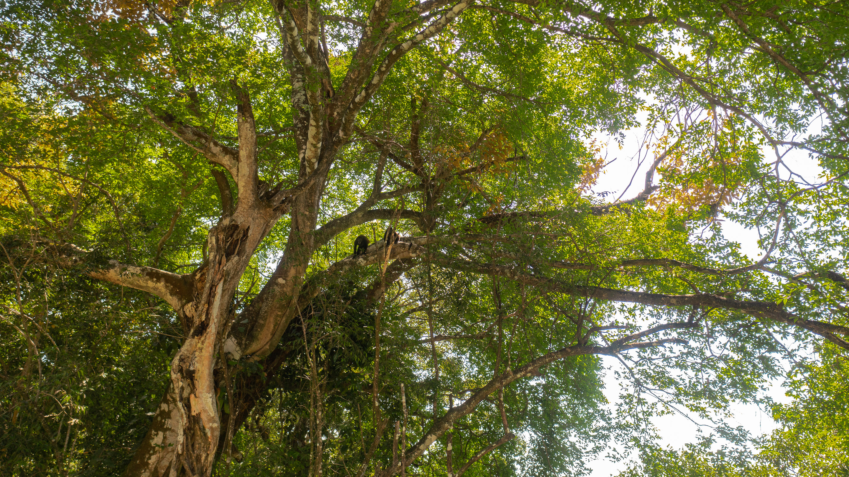 0 bed Land For Sale in Santa Teresa, Puntarenas - thumb 12