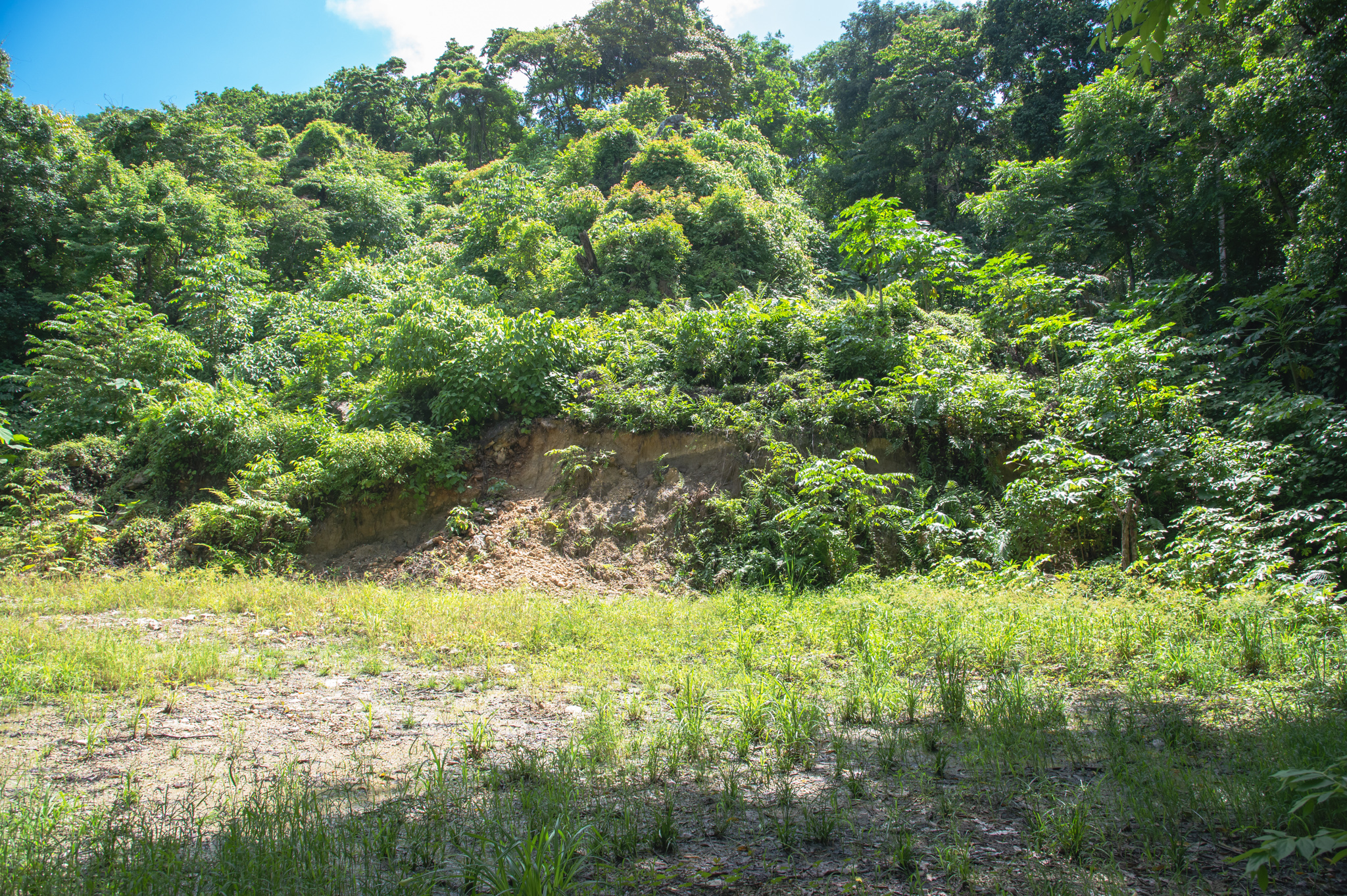 0 bed Land For Sale in Santa Teresa, Puntarenas - thumb 16