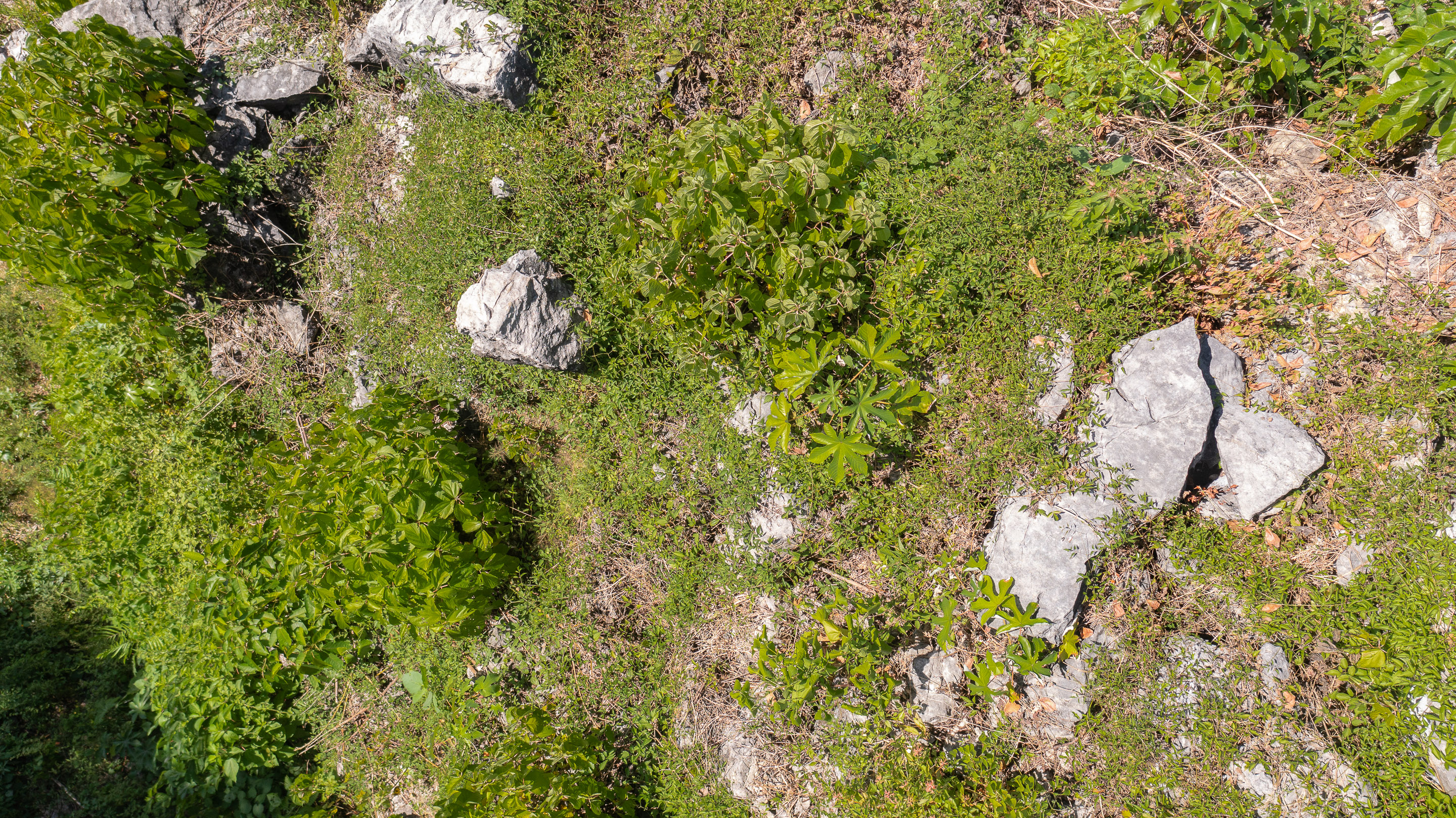 0 bed Land For Sale in Santa Teresa, Puntarenas - thumb 2