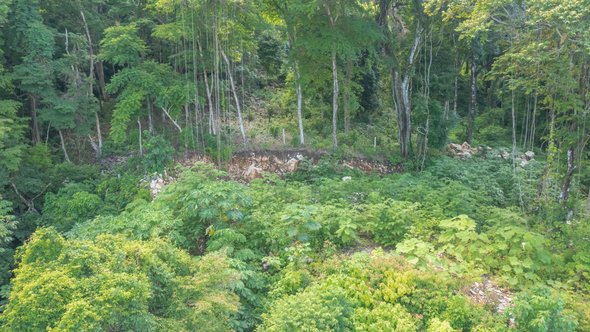 0 bed Land For Sale in Santa Teresa, Puntarenas - thumb 8