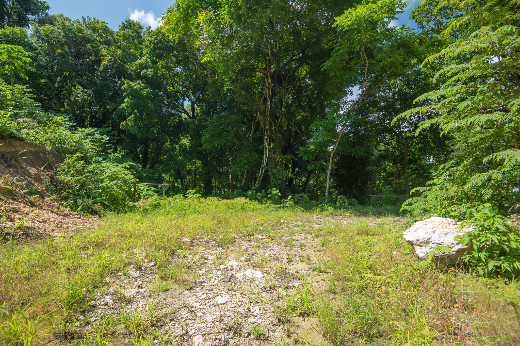 0 bed Land For Sale in Santa Teresa, Puntarenas - thumb 11