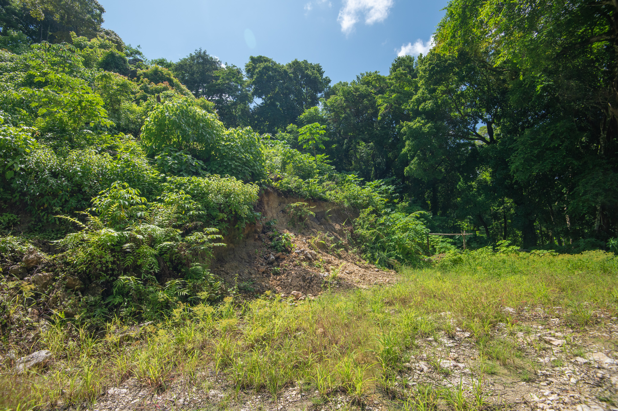 0 bed Land For Sale in Santa Teresa, Puntarenas - thumb 10