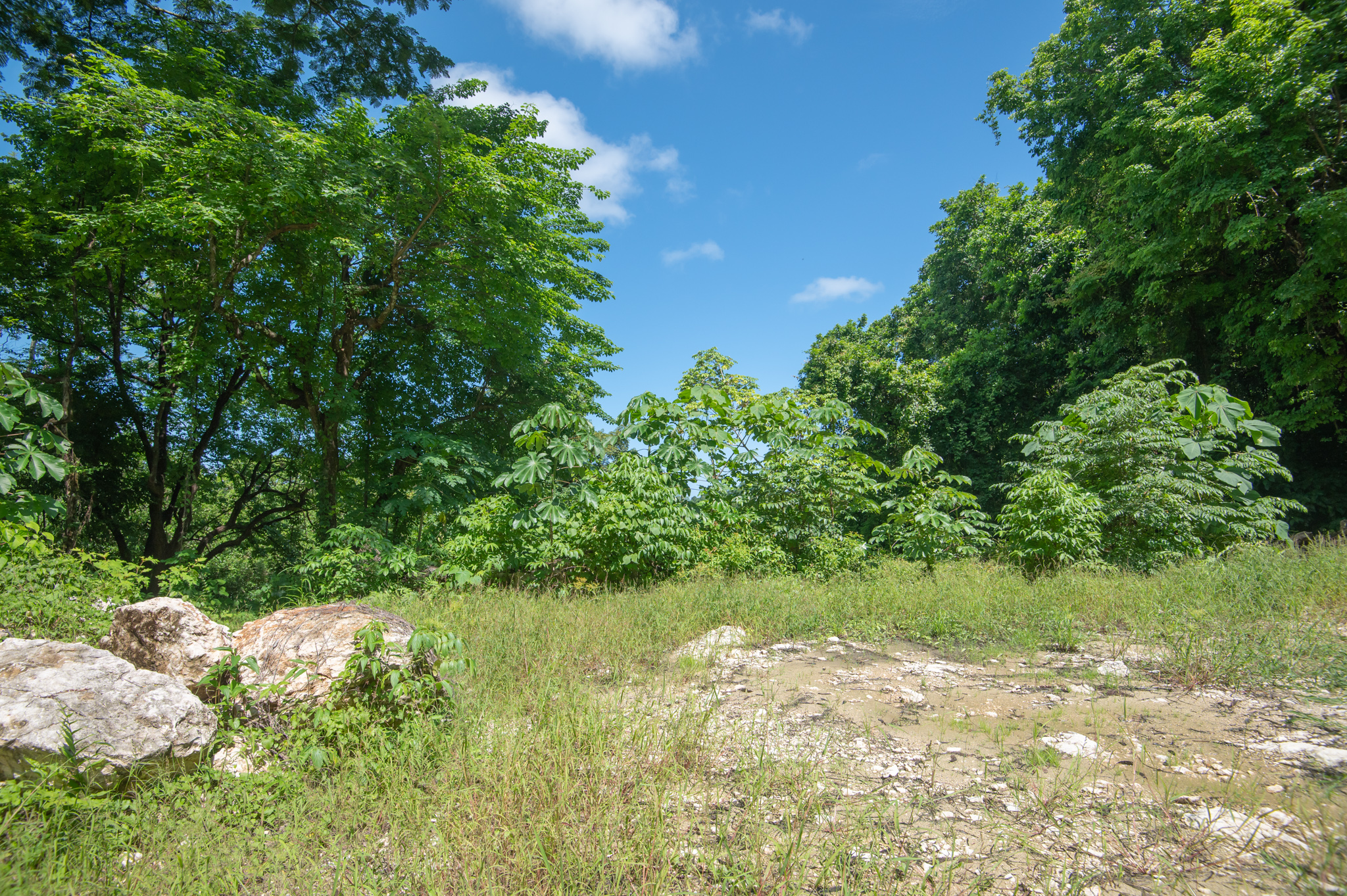 0 bed Land For Sale in Santa Teresa, Puntarenas - thumb 9