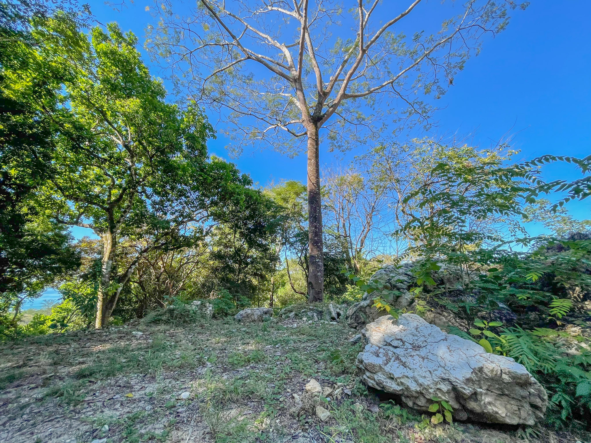 0 bed Land For Sale in Santa Teresa, Puntarenas - thumb 18
