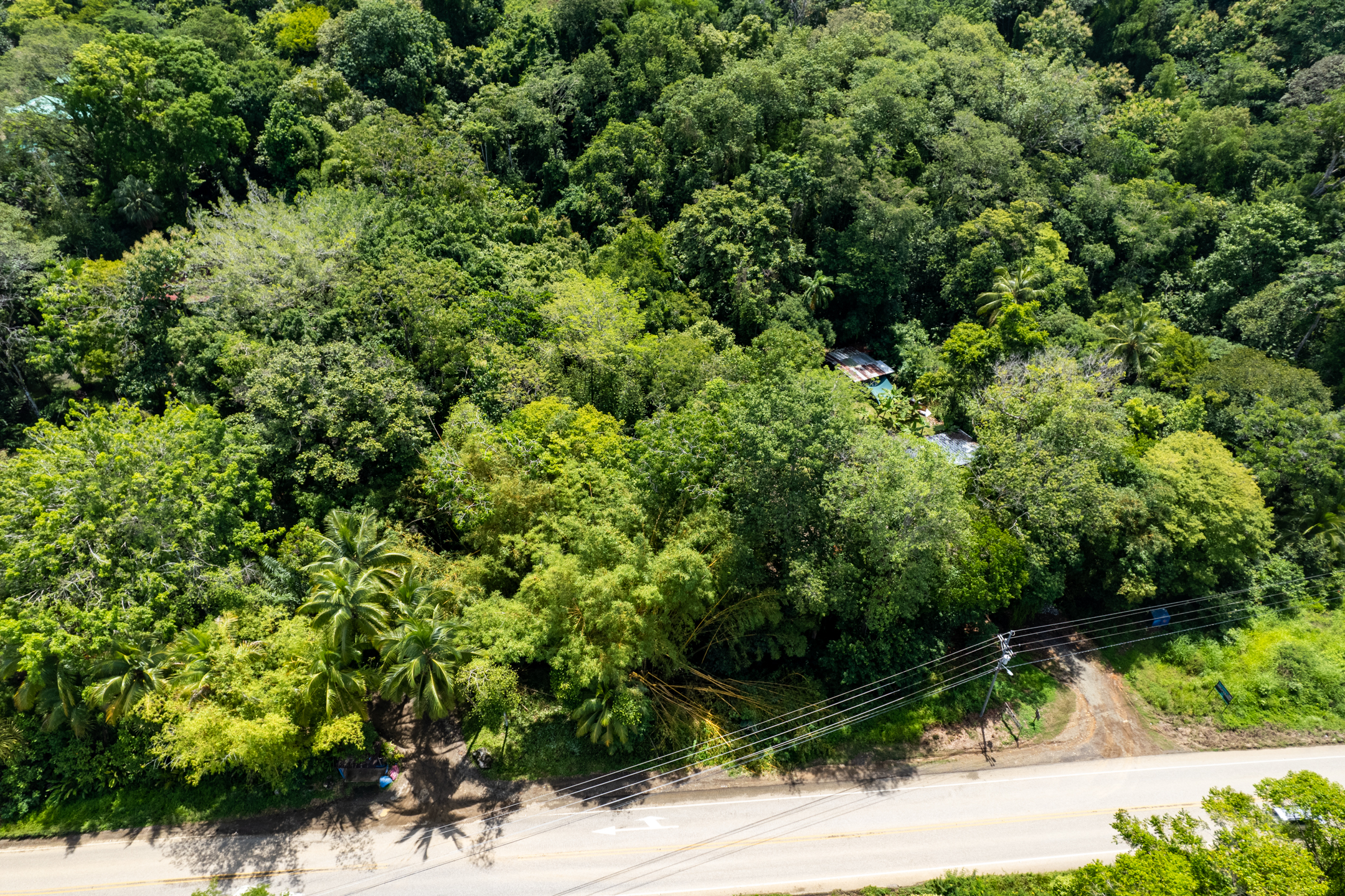 0 bed Land For Sale in Dominical, Puntarenas - thumb 7