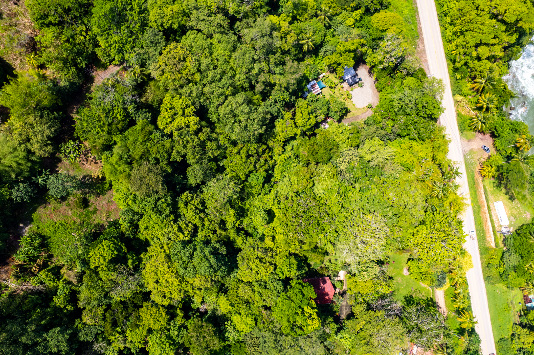 0 bed Land For Sale in Dominical, Puntarenas - thumb 3