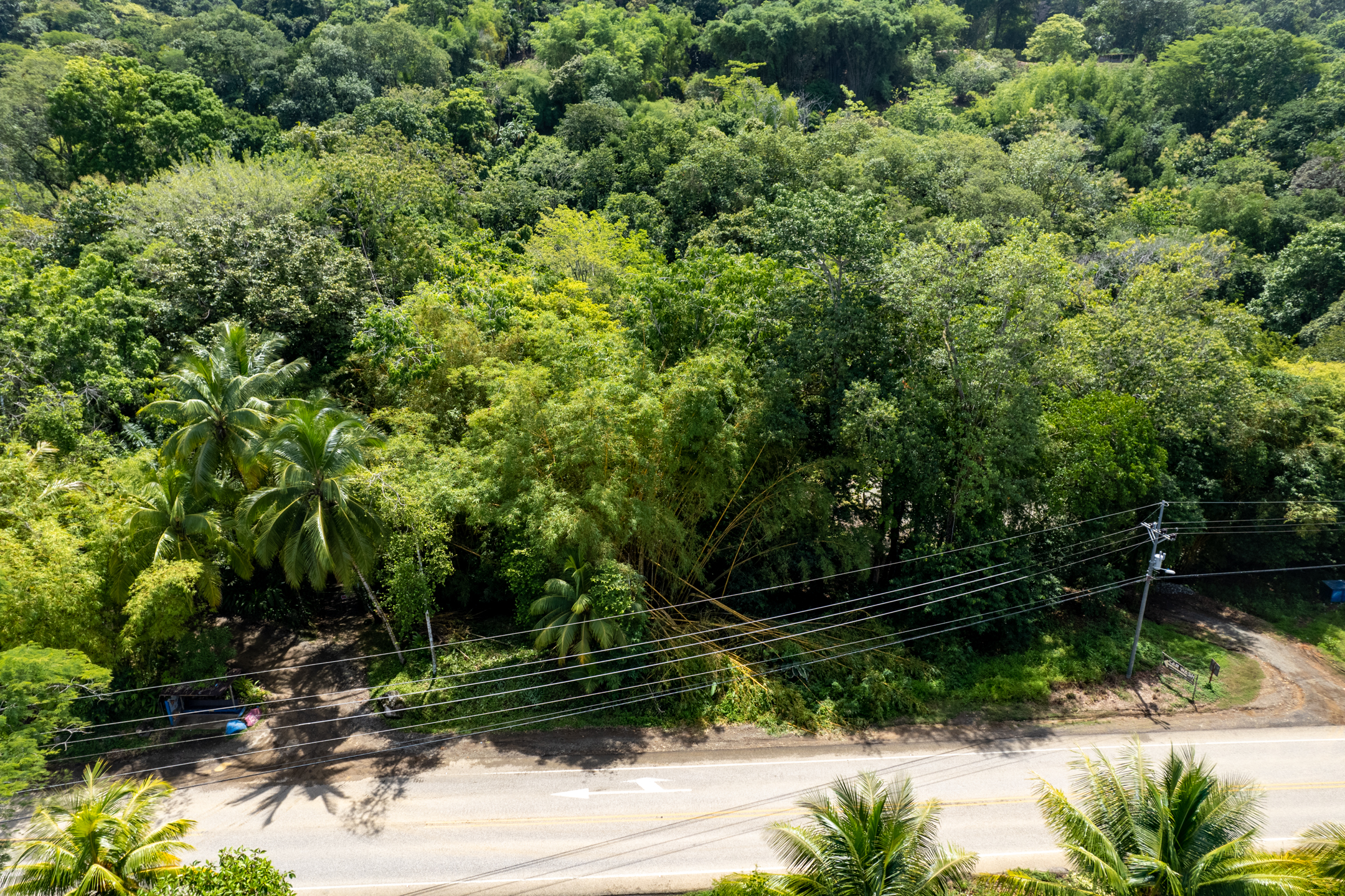 0 bed Land For Sale in Dominical, Puntarenas - thumb 14
