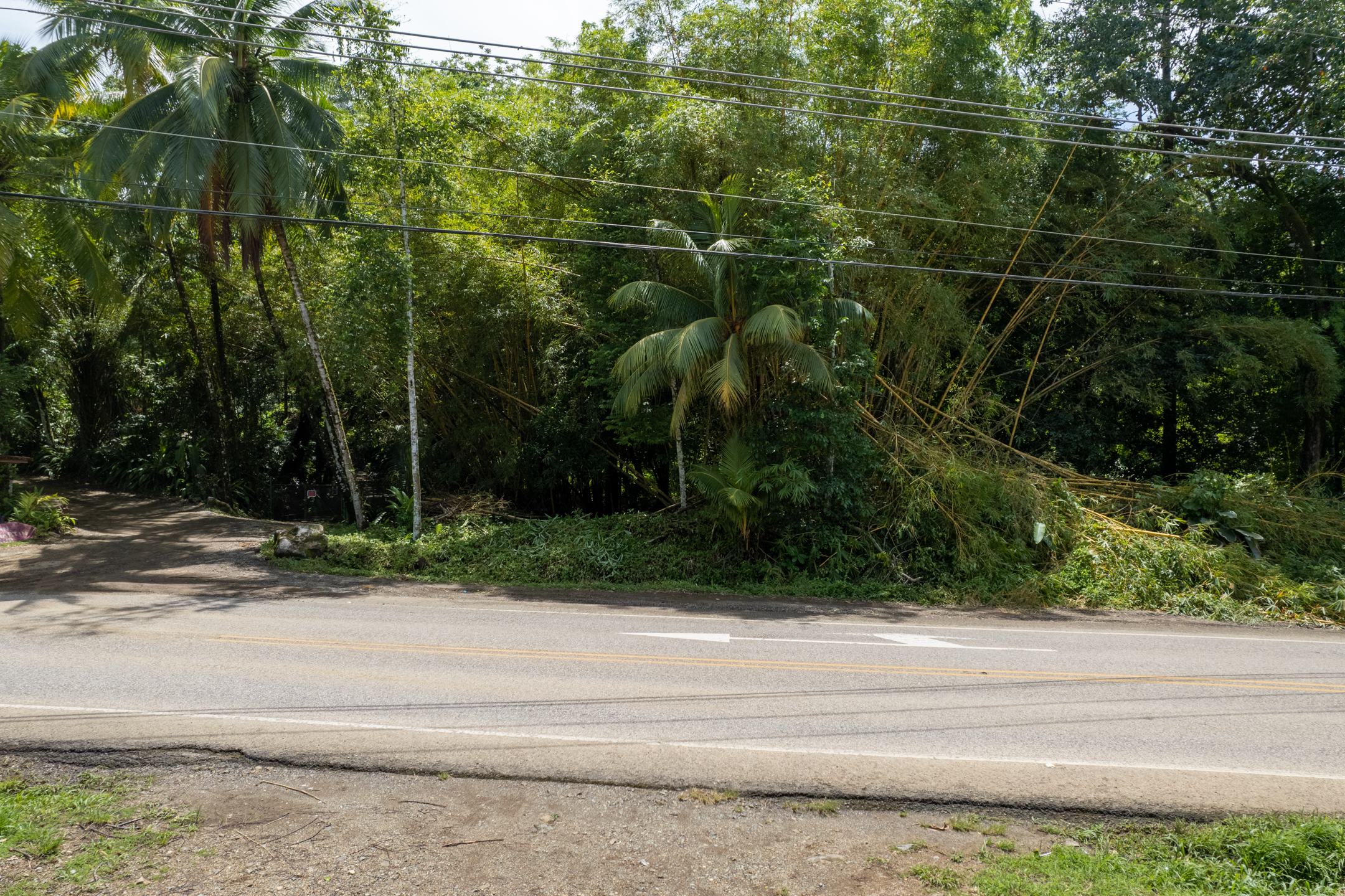 0 bed Land For Sale in Dominical, Puntarenas - thumb 8