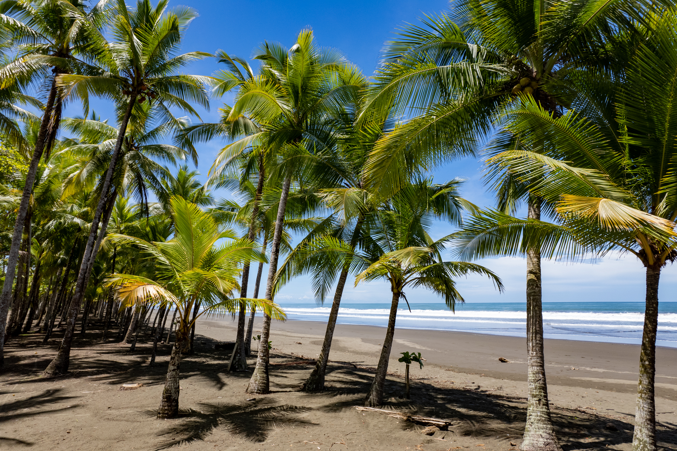 0 bed Land For Sale in Matapalo, Puntarenas - thumb 7