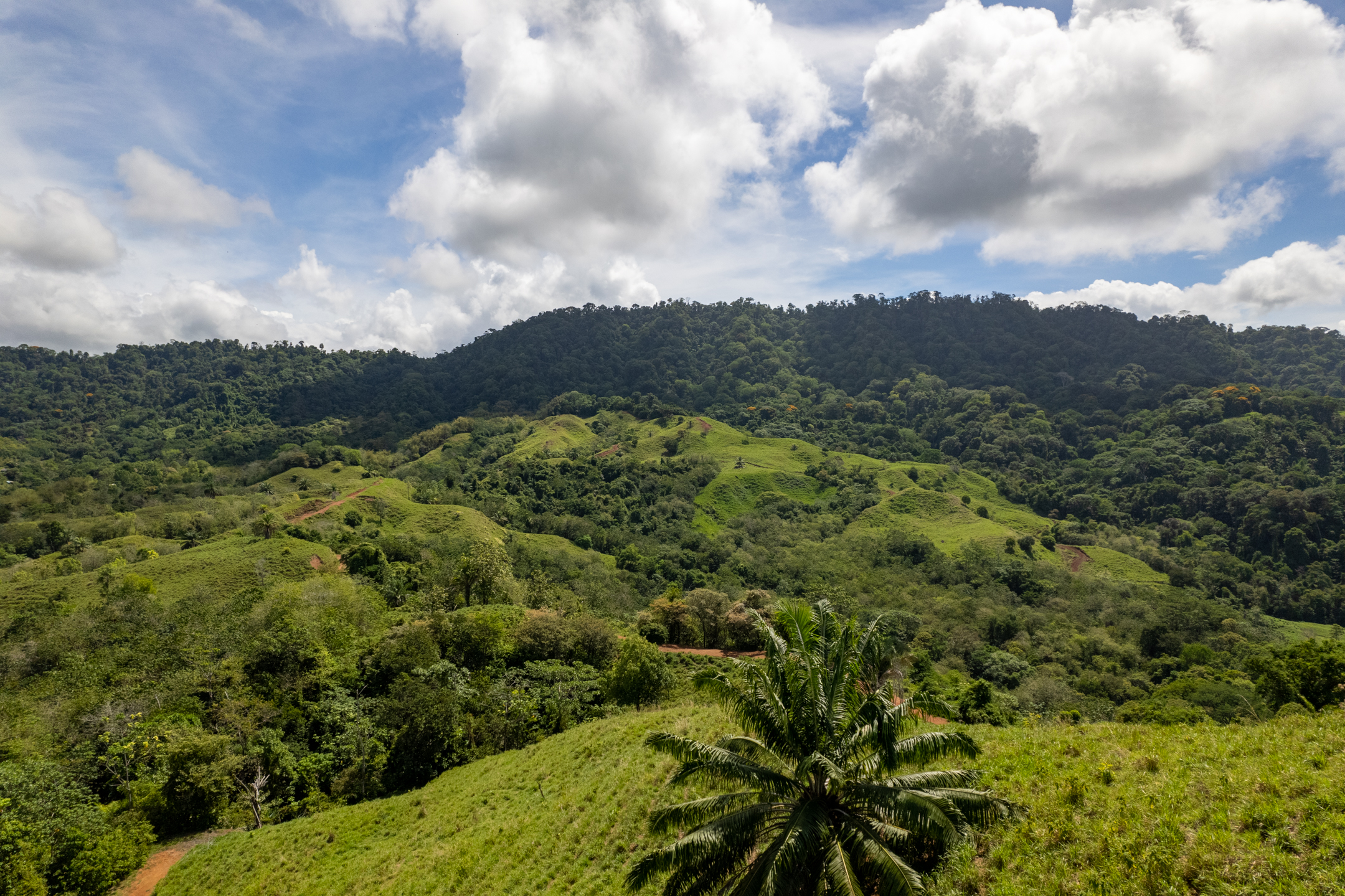 0 bed Land For Sale in Matapalo, Puntarenas - thumb 17