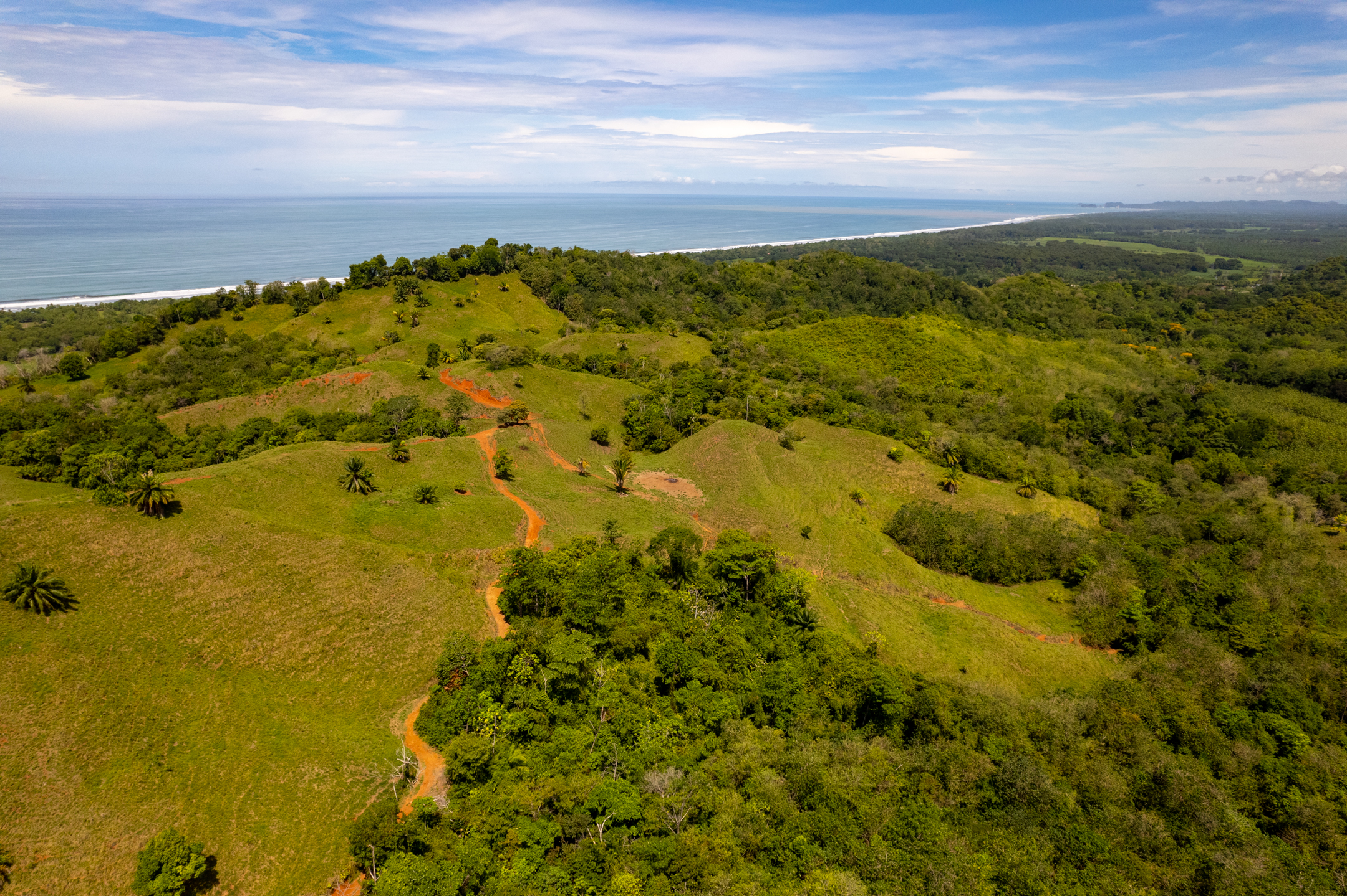 0 bed Land For Sale in Matapalo, Puntarenas - thumb 20