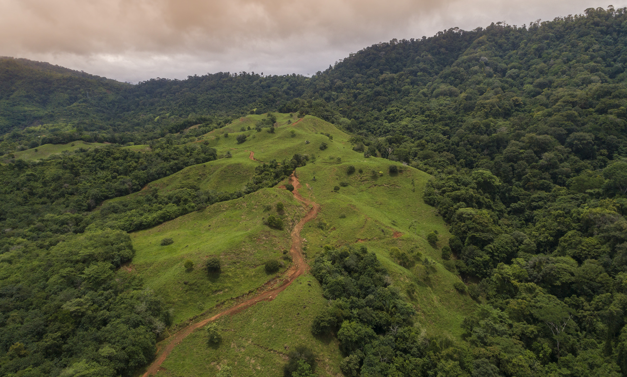 0 bed Land For Sale in Matapalo, Puntarenas - thumb 29