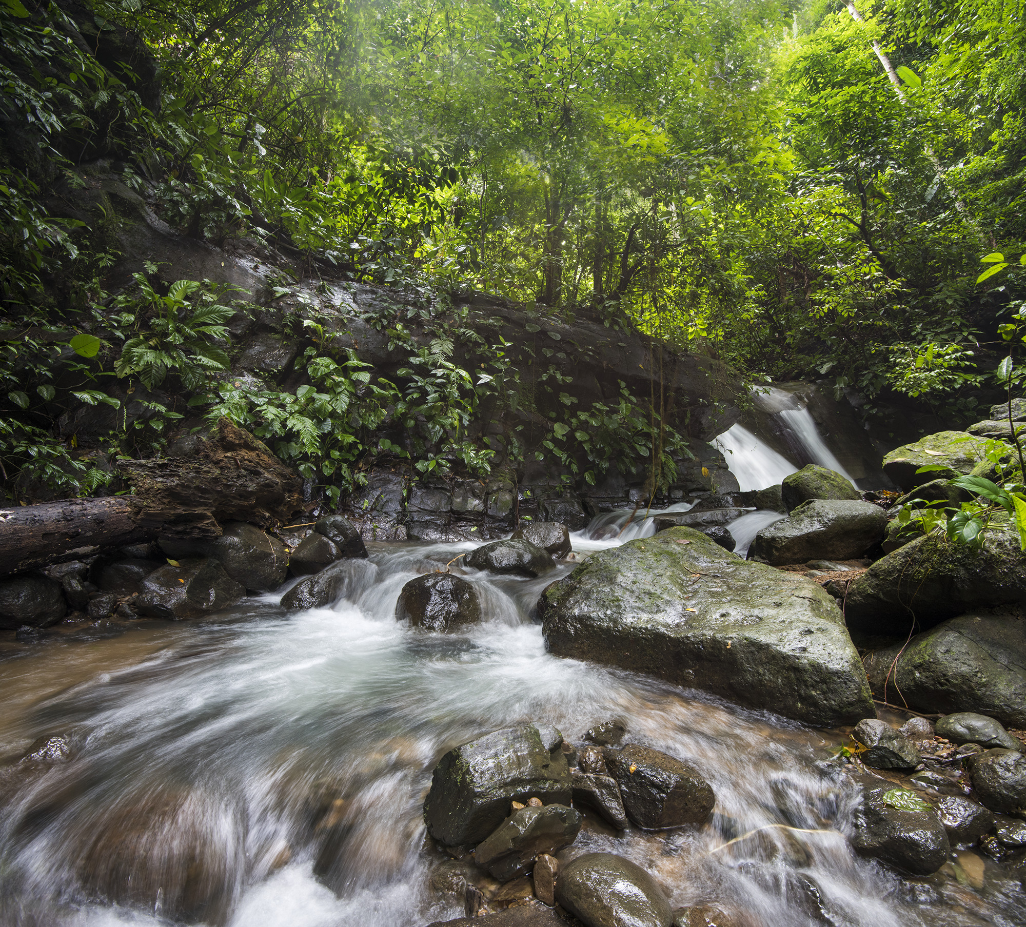 0 bed Land For Sale in Matapalo, Puntarenas - thumb 5