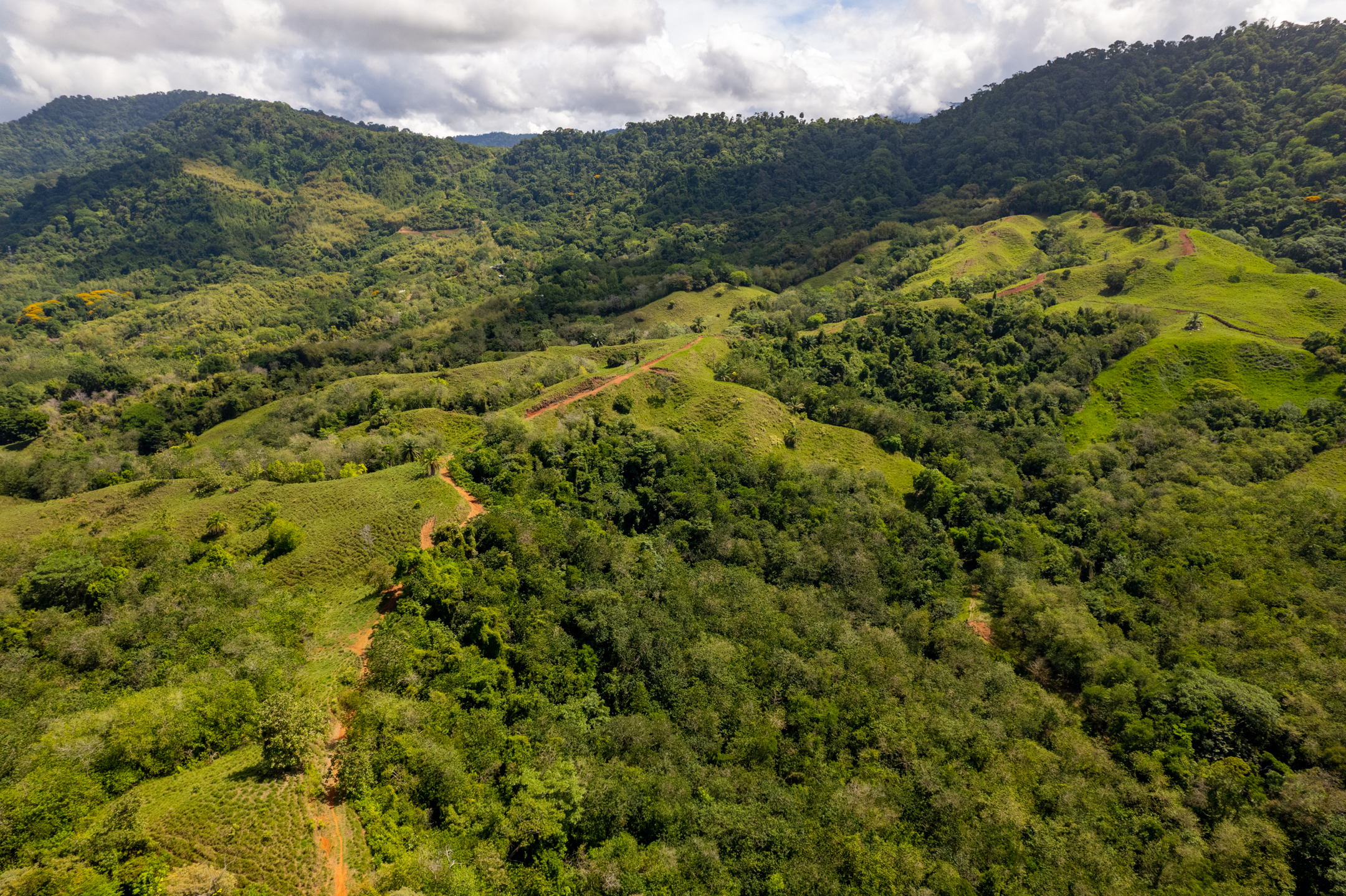 0 bed Land For Sale in Matapalo, Puntarenas - thumb 15