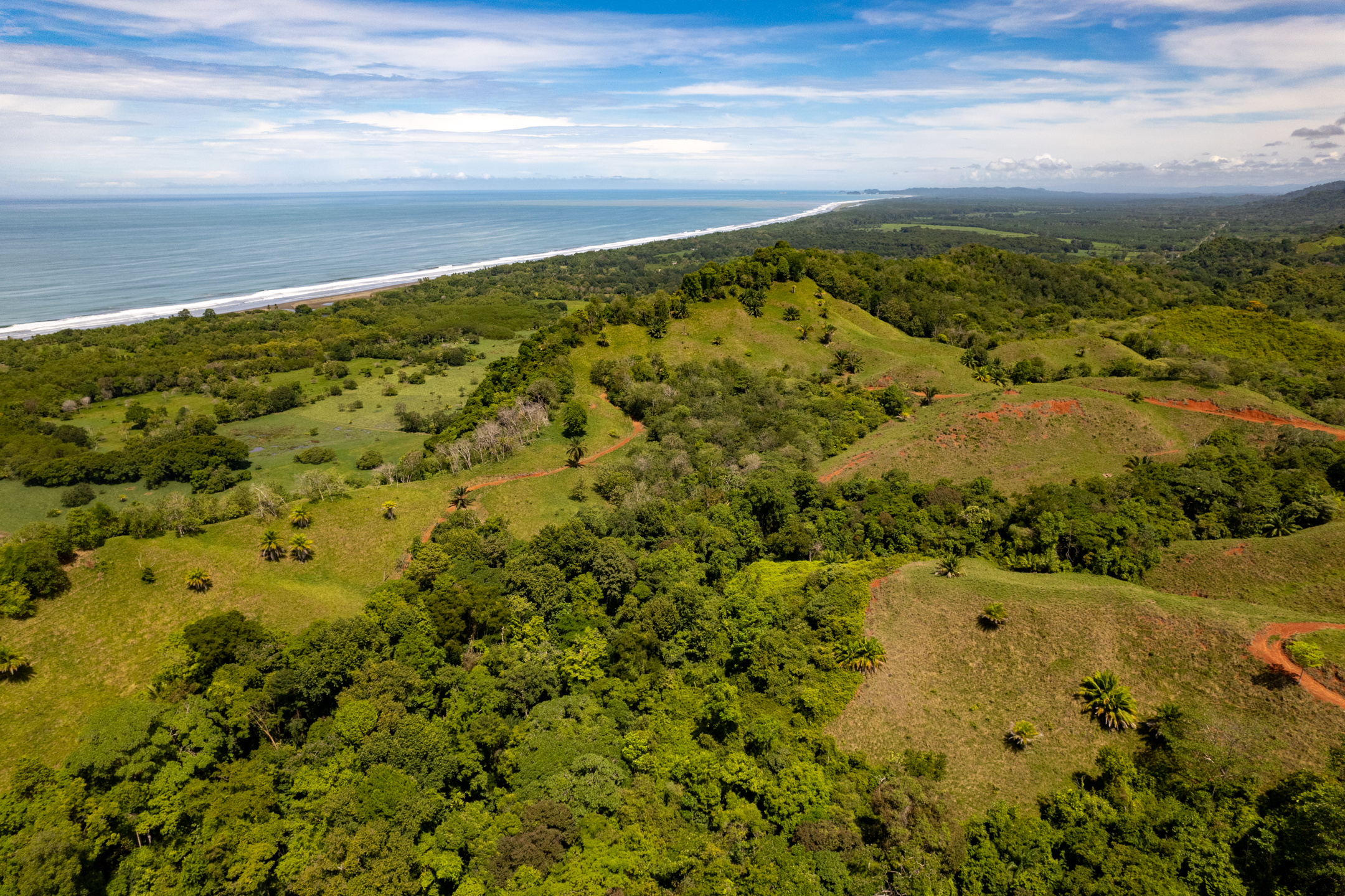 0 bed Land For Sale in Matapalo, Puntarenas - thumb 13
