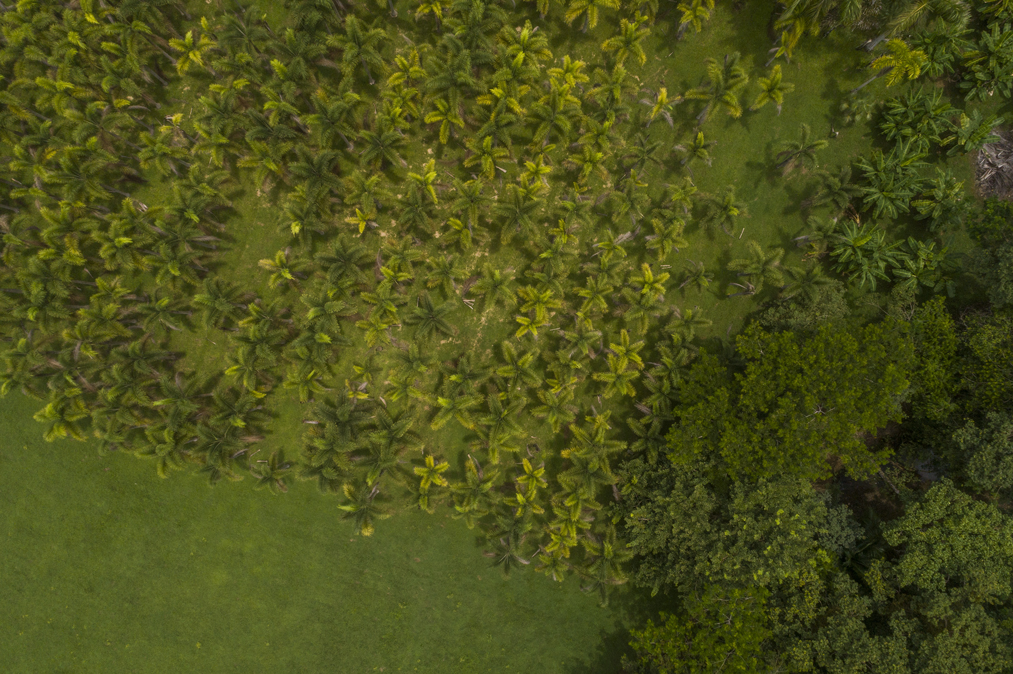 0 bed Land For Sale in Matapalo, Puntarenas - thumb 23