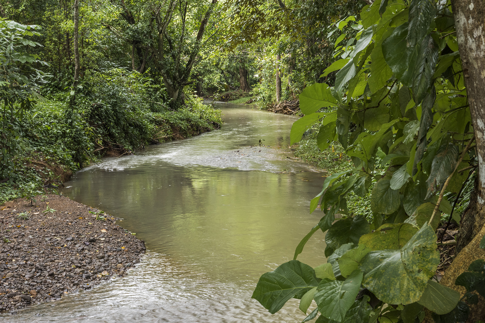 0 bed Land For Sale in Matapalo, Puntarenas - thumb 25