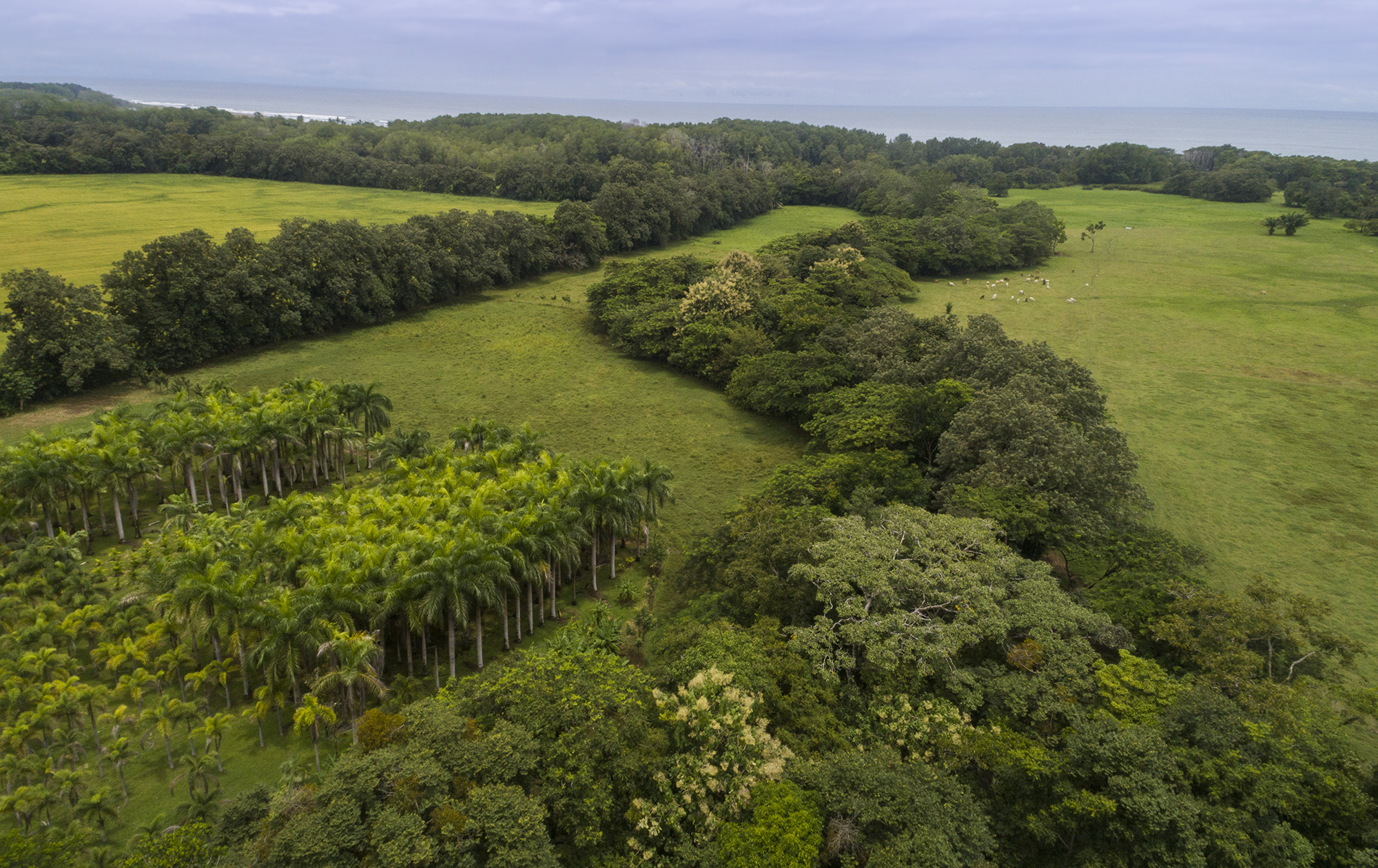 0 bed Land For Sale in Matapalo, Puntarenas - thumb 22