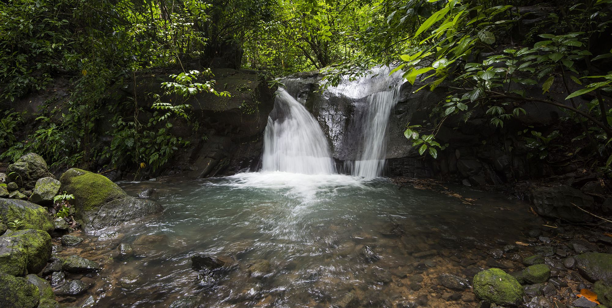 0 bed Land For Sale in Matapalo, Puntarenas - thumb 9