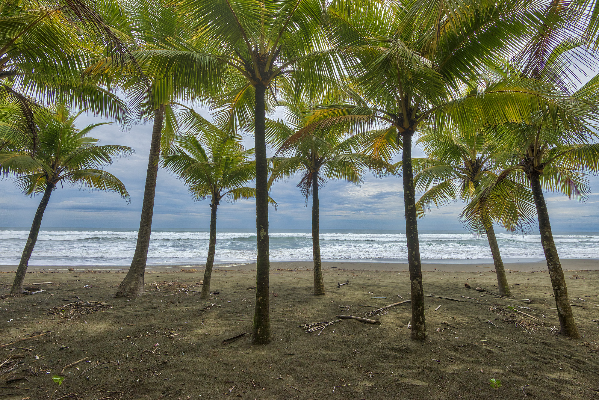 0 bed Land For Sale in Matapalo, Puntarenas - thumb 3