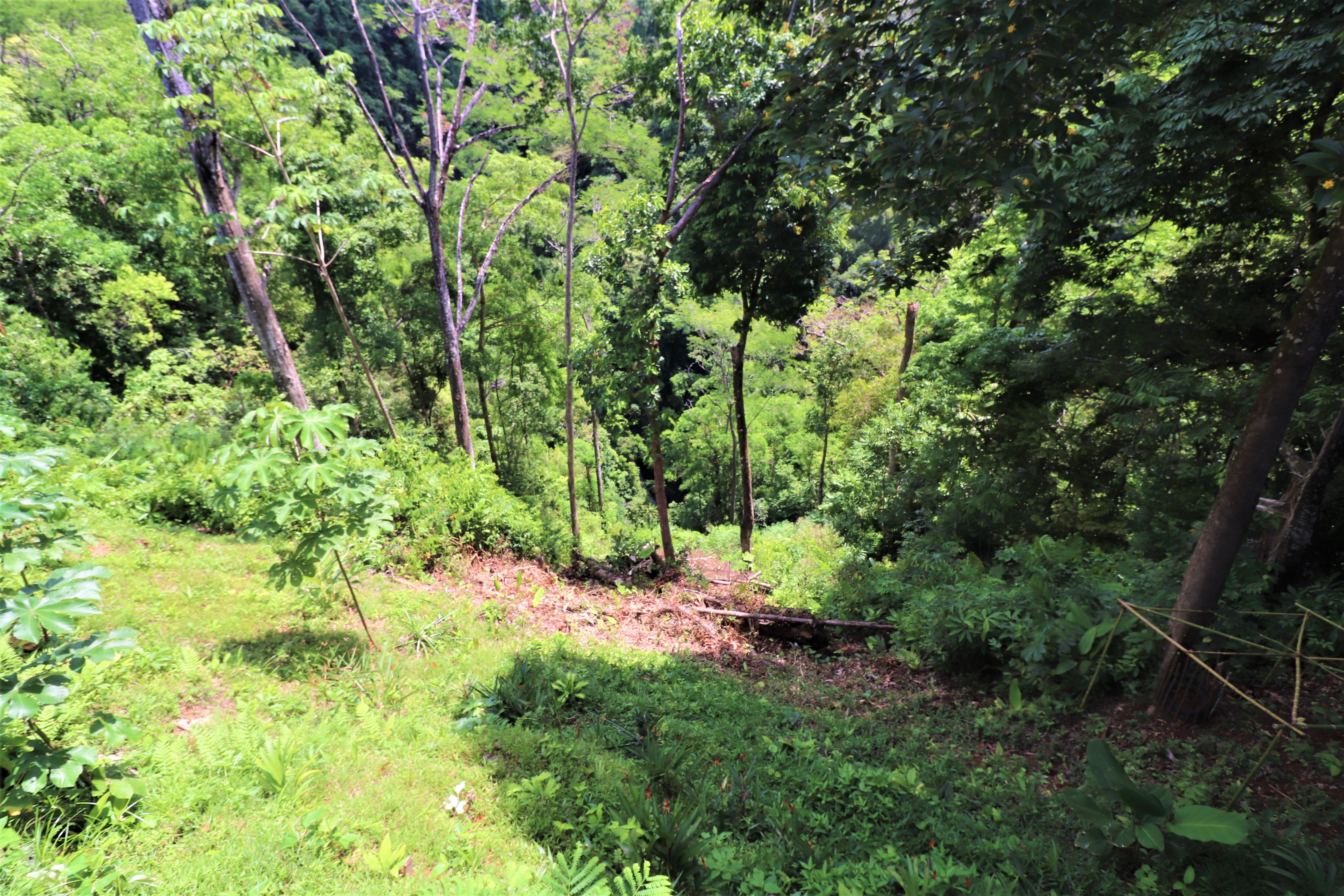 2 bed Single Family Homes For Sale in Ojochal, Puntarenas - thumb 12