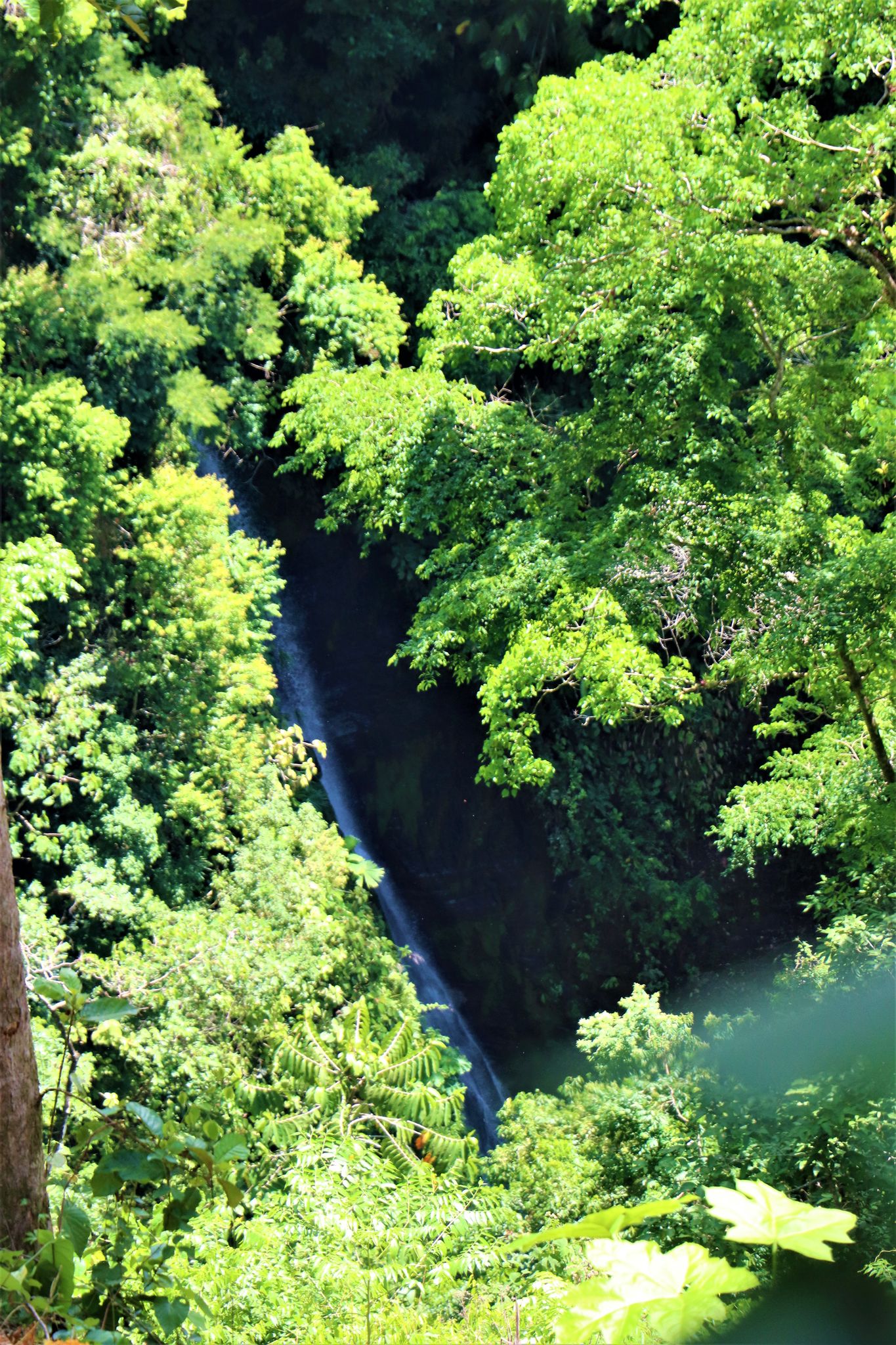 2 bed Single Family Homes For Sale in Ojochal, Puntarenas - thumb 11