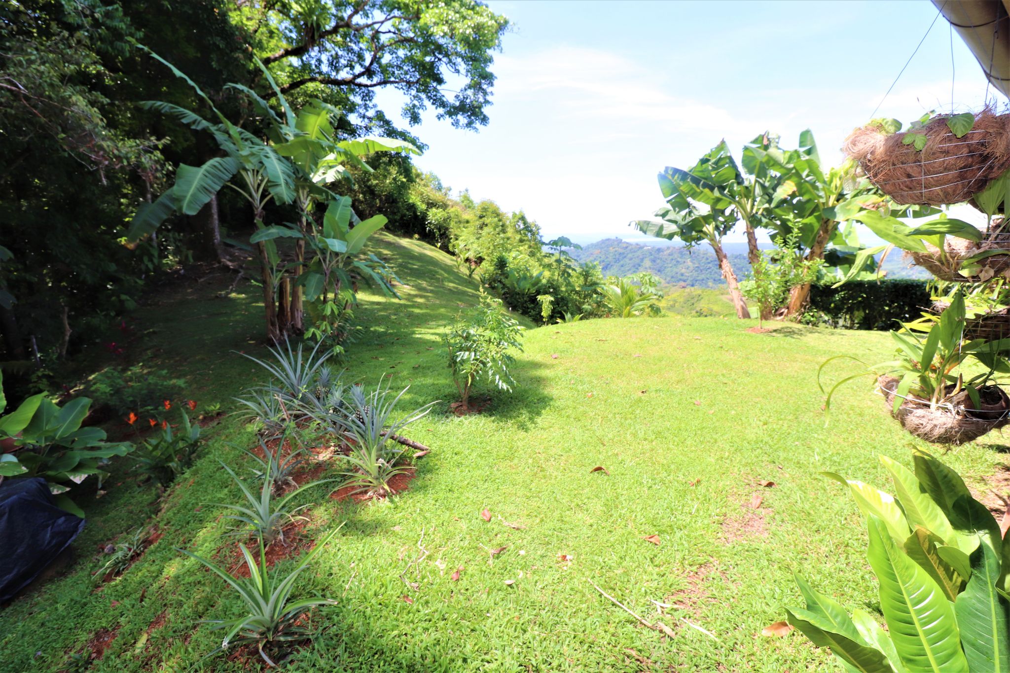 2 bed Single Family Homes For Sale in Ojochal, Puntarenas - thumb 19
