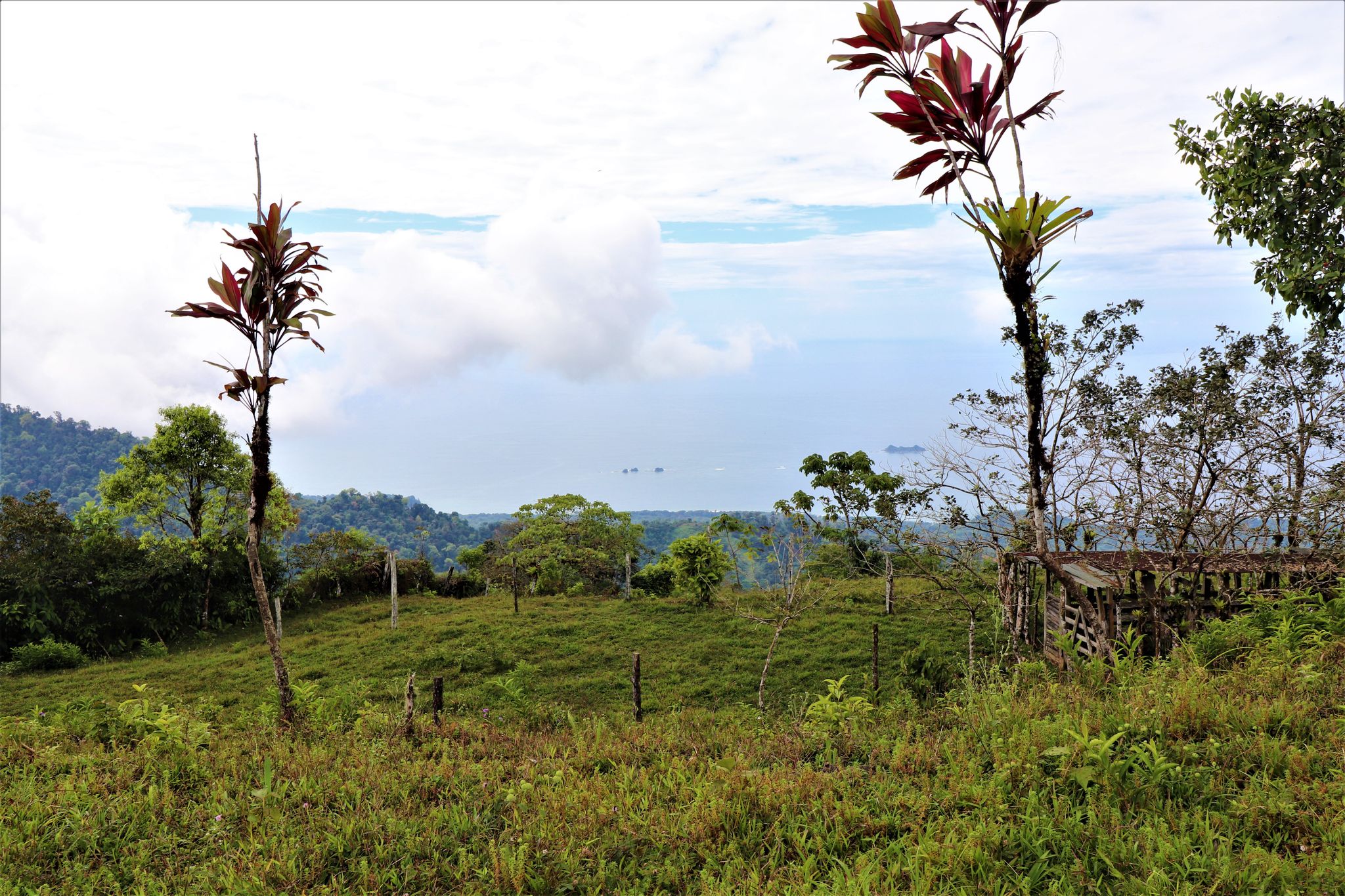 0 bed Land For Sale in Uvita, Puntarenas - thumb 14