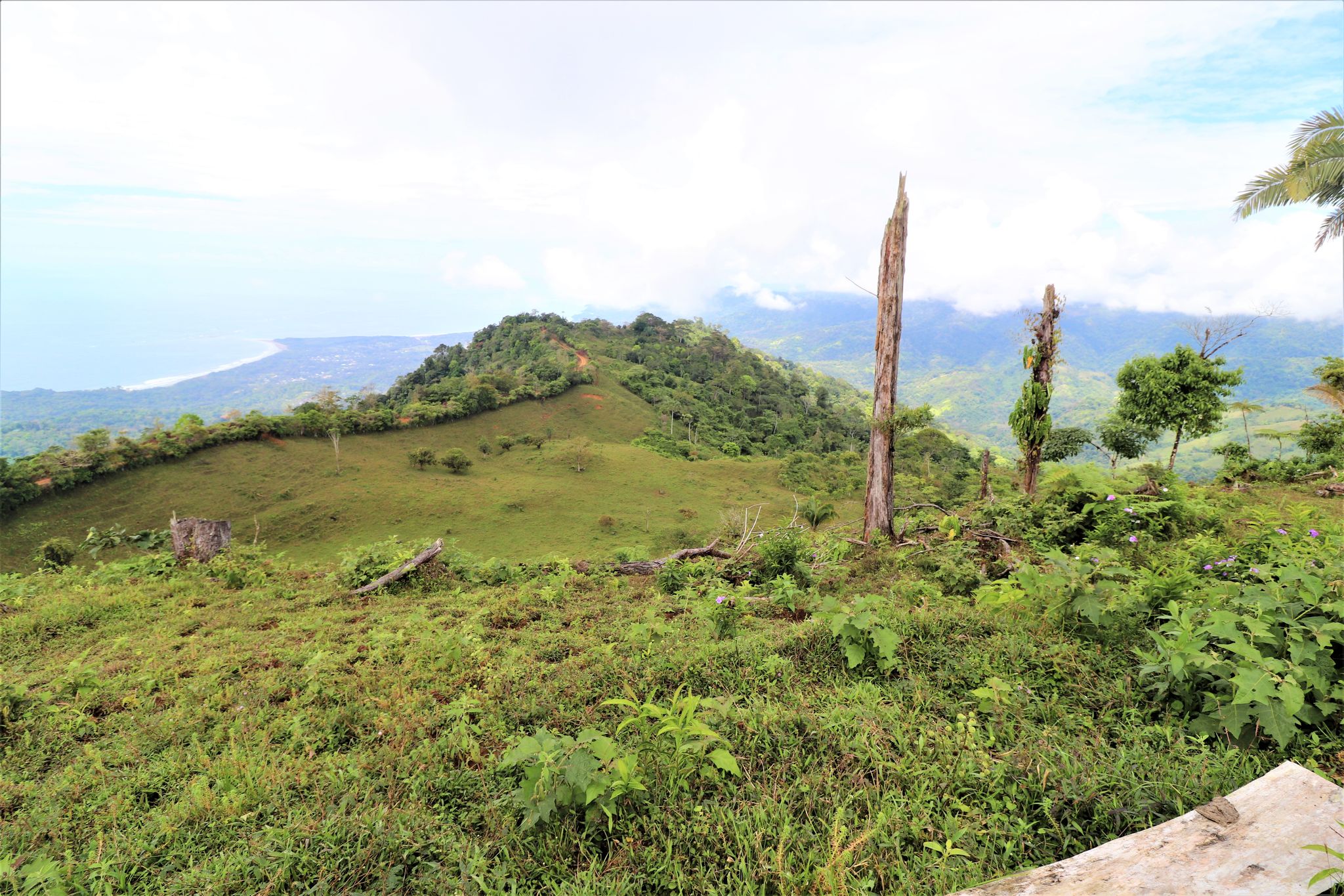 0 bed Land For Sale in Uvita, Puntarenas - thumb 22