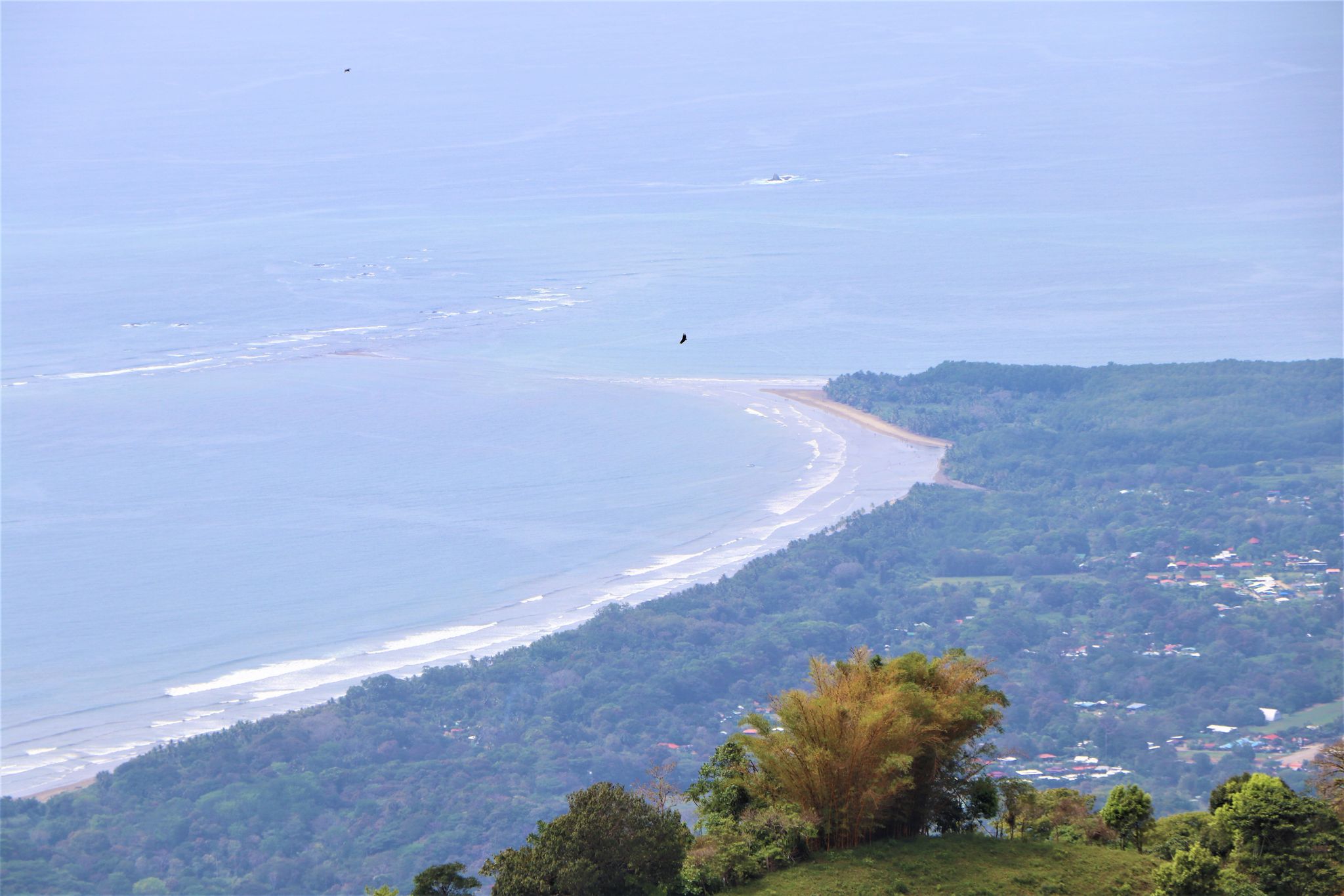 0 bed Land For Sale in Uvita, Puntarenas - thumb 5