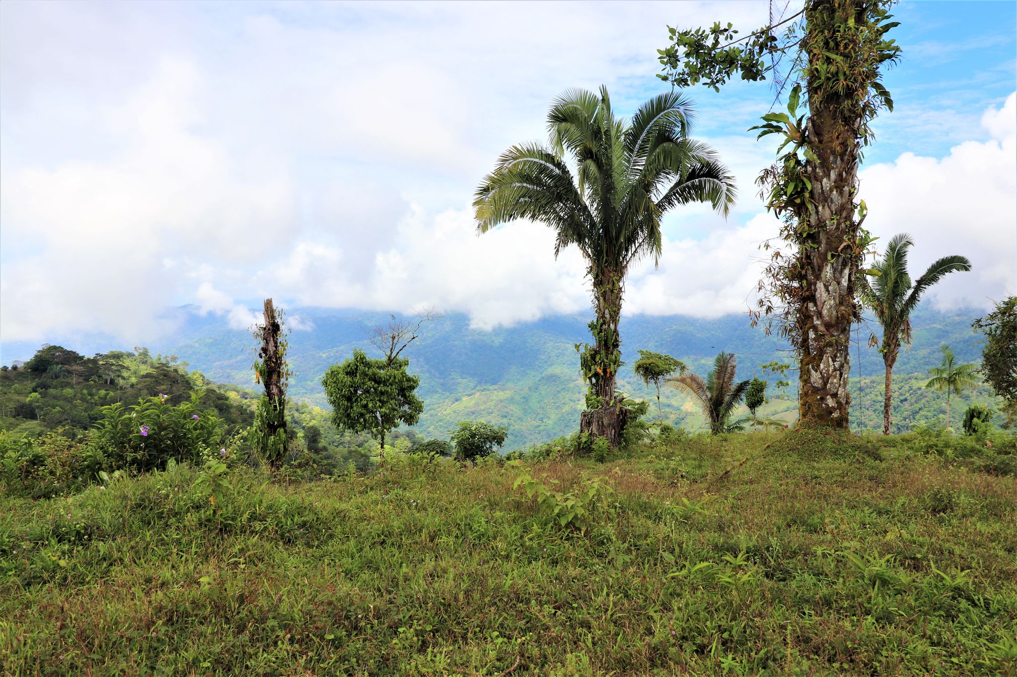 0 bed Land For Sale in Uvita, Puntarenas - thumb 21