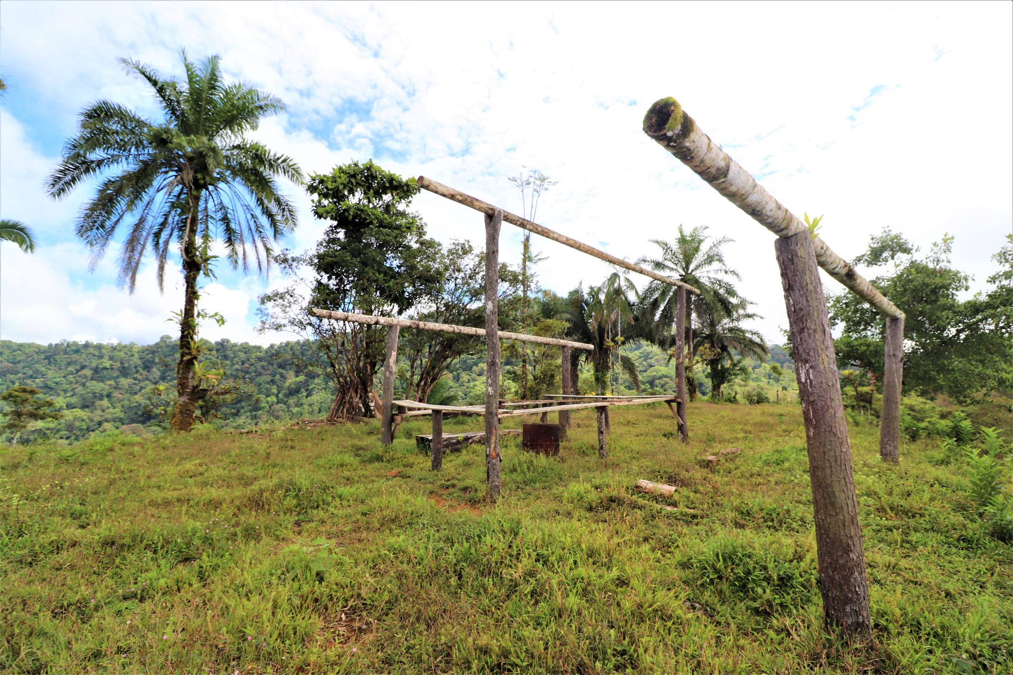 0 bed Land For Sale in Uvita, Puntarenas - thumb 18