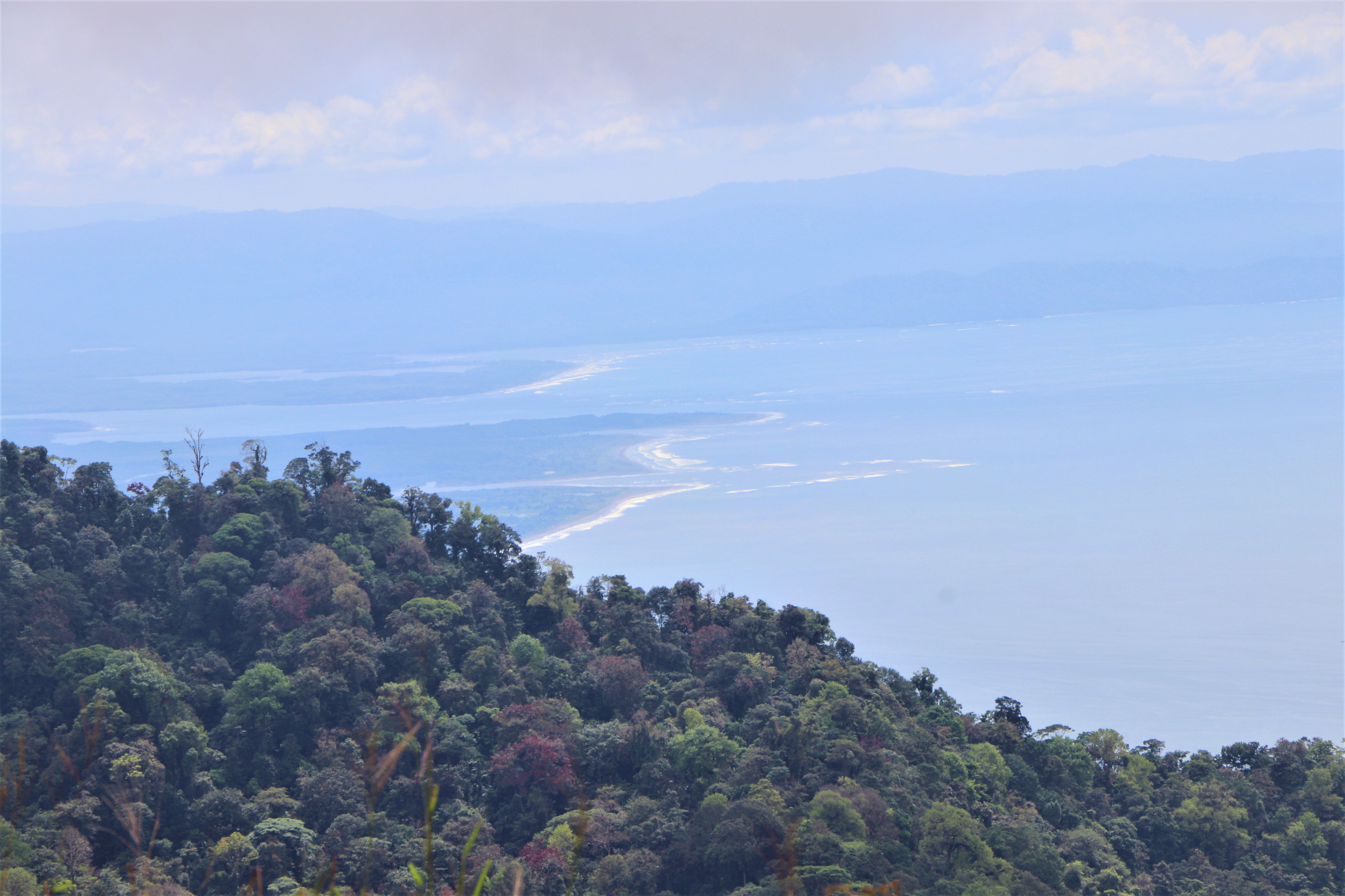 0 bed Land For Sale in Uvita, Puntarenas - thumb 17