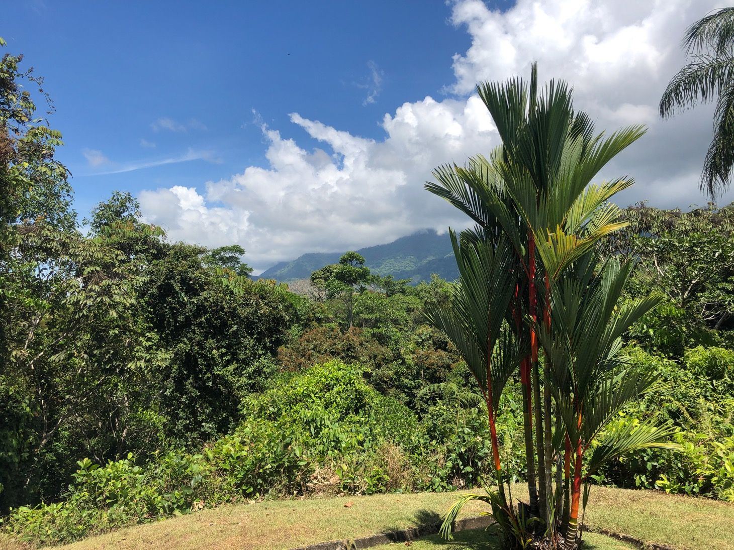 3 bed Single Family Homes For Sale in Ojochal, Puntarenas - thumb 5