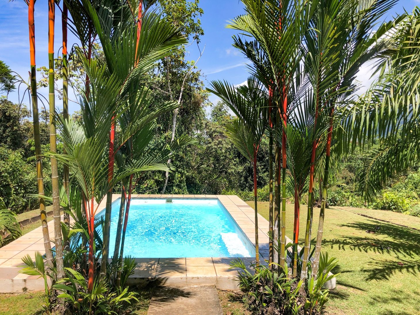 3 bed Single Family Homes For Sale in Ojochal, Puntarenas - thumb 3