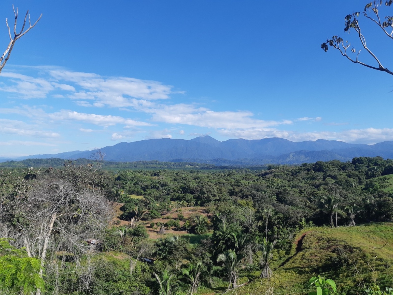 0 bed Land For Sale in Quepos, Puntarenas - thumb 5